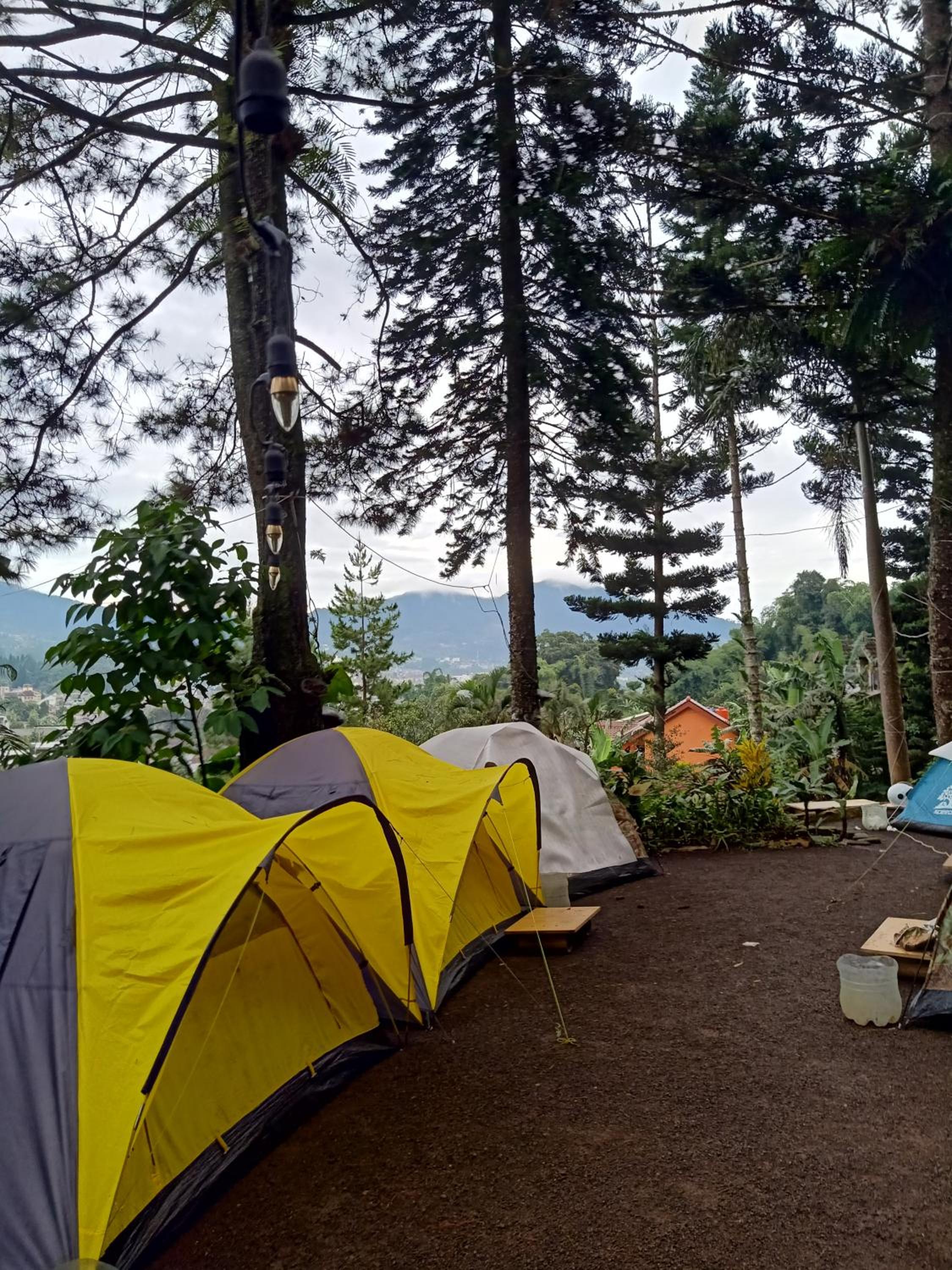 Glamping ReaVeeCafe Puncak