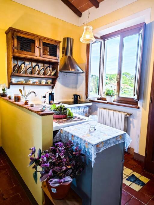 La casa nella vigna [colline del vino] view 4