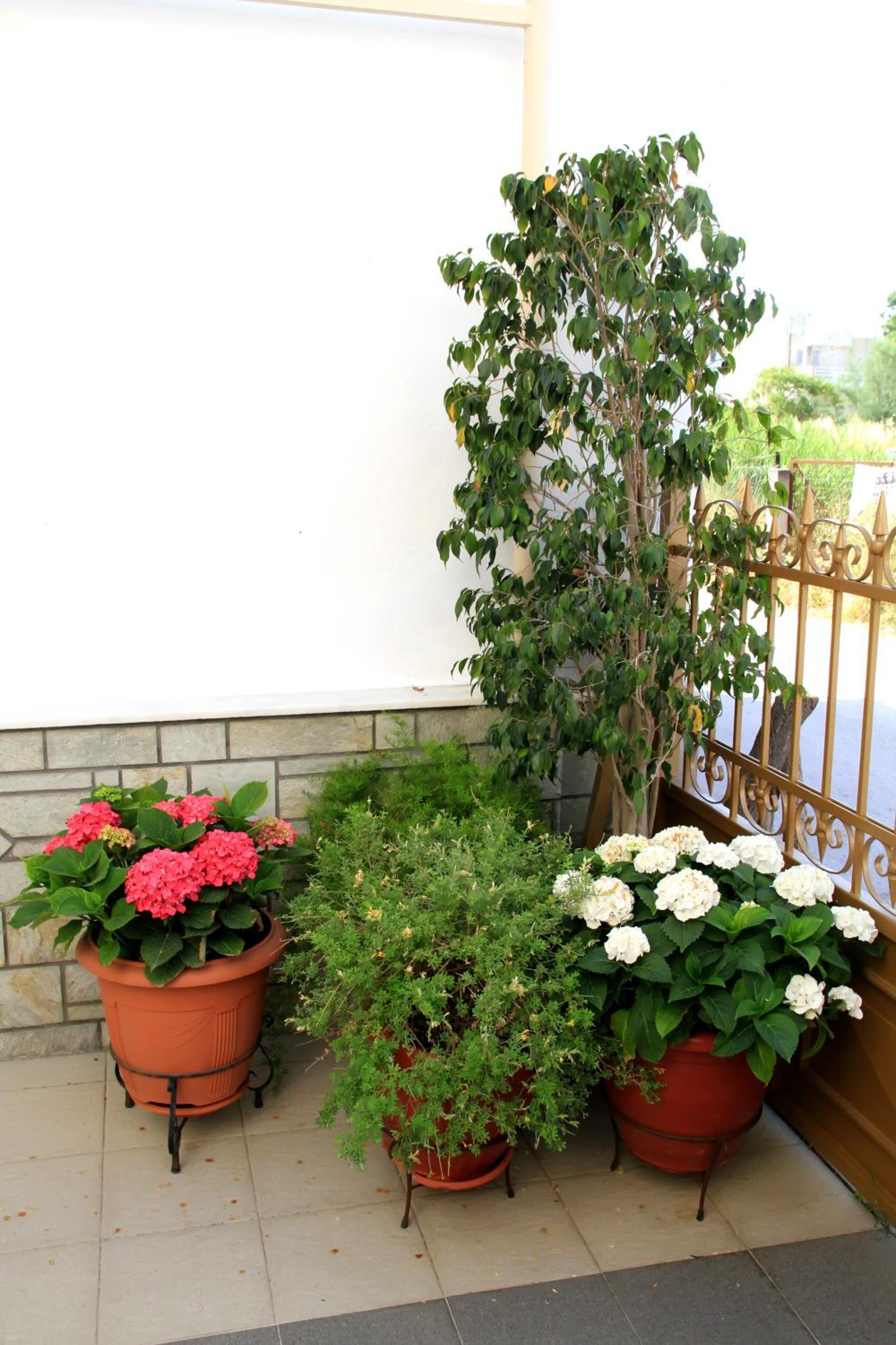 Photo 26