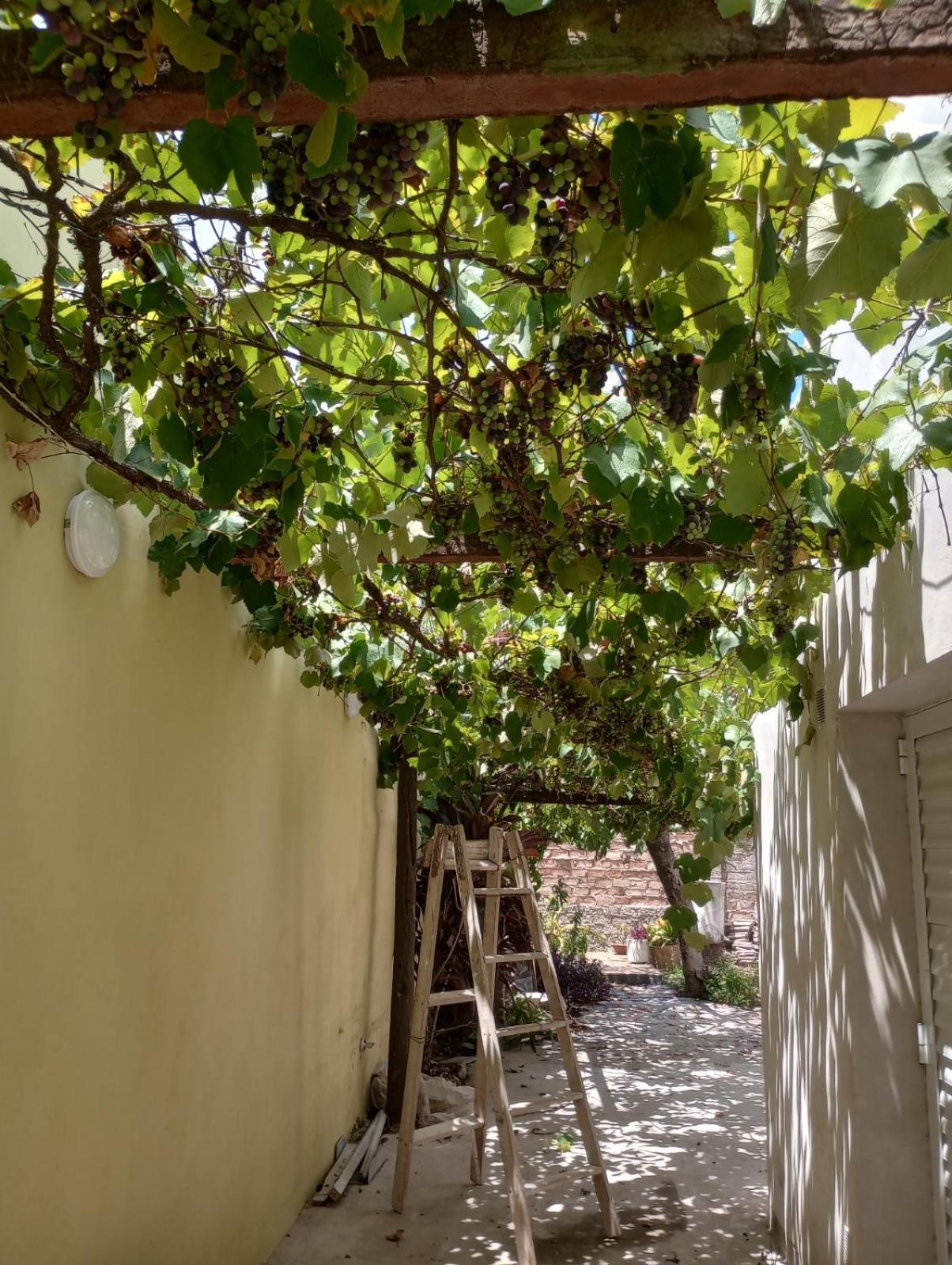 Casa Chuchi