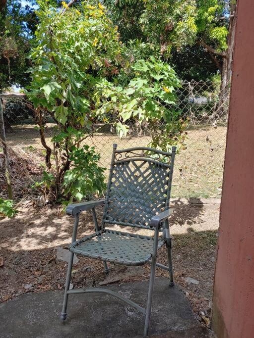 Cozy 1 br 1 bath apartment with free parking view 4