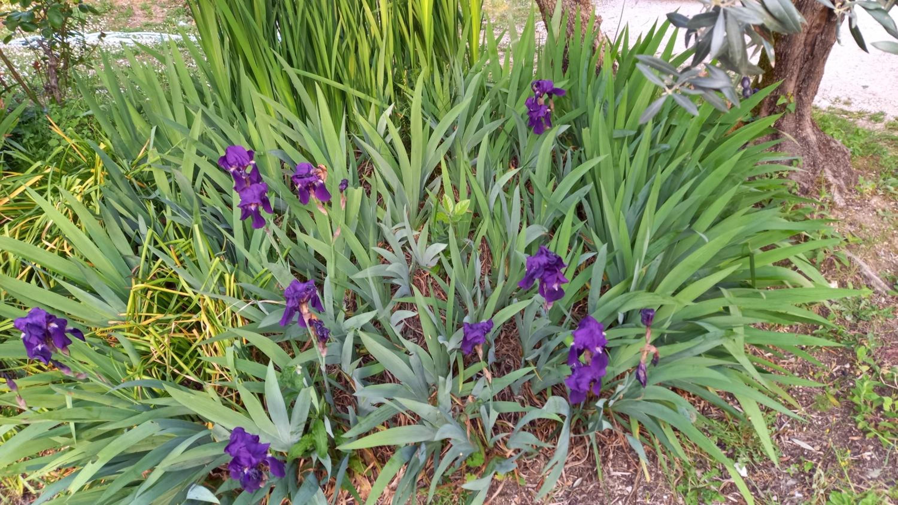 Photo 21