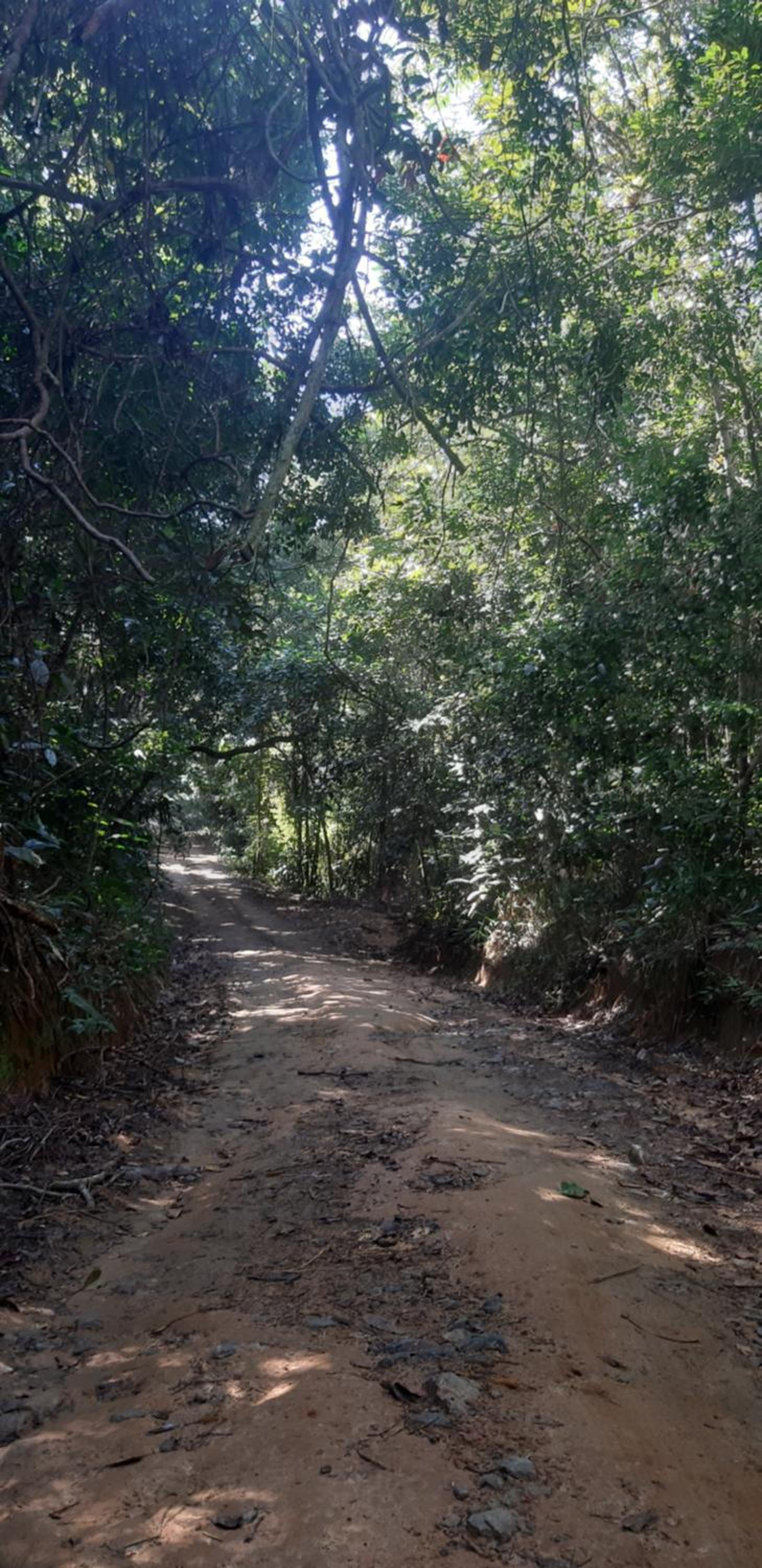 Vila Jubarte