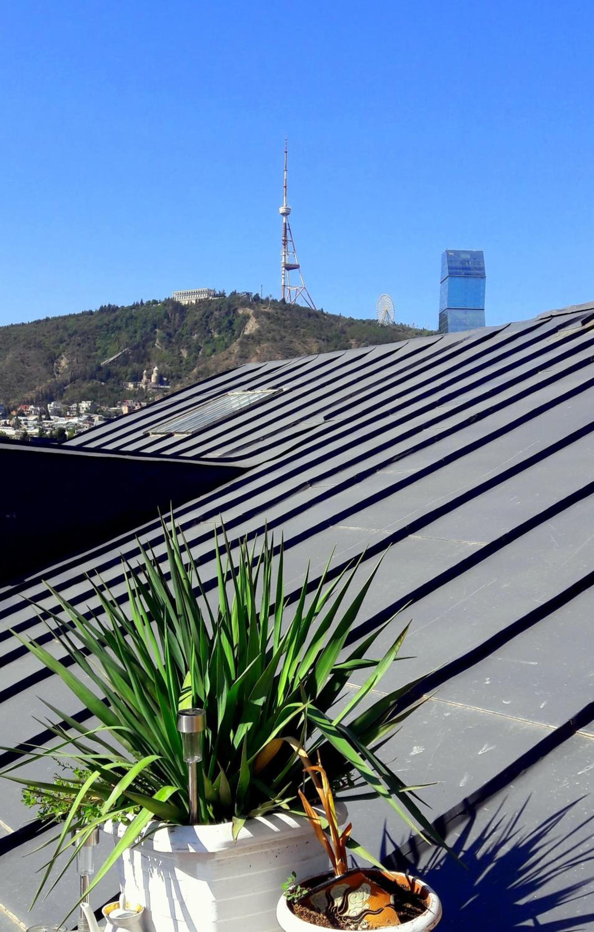 roof