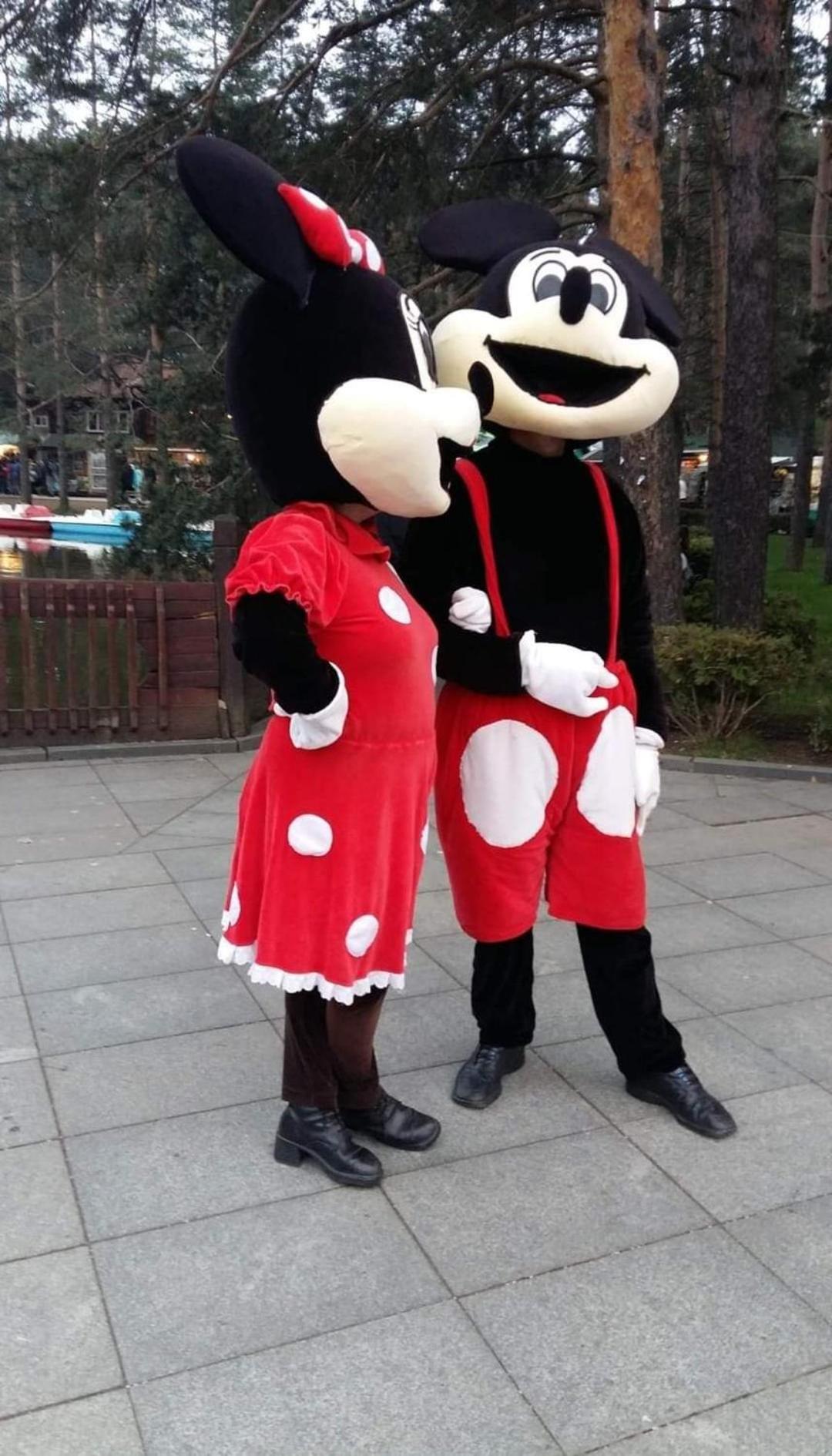 Photo 45