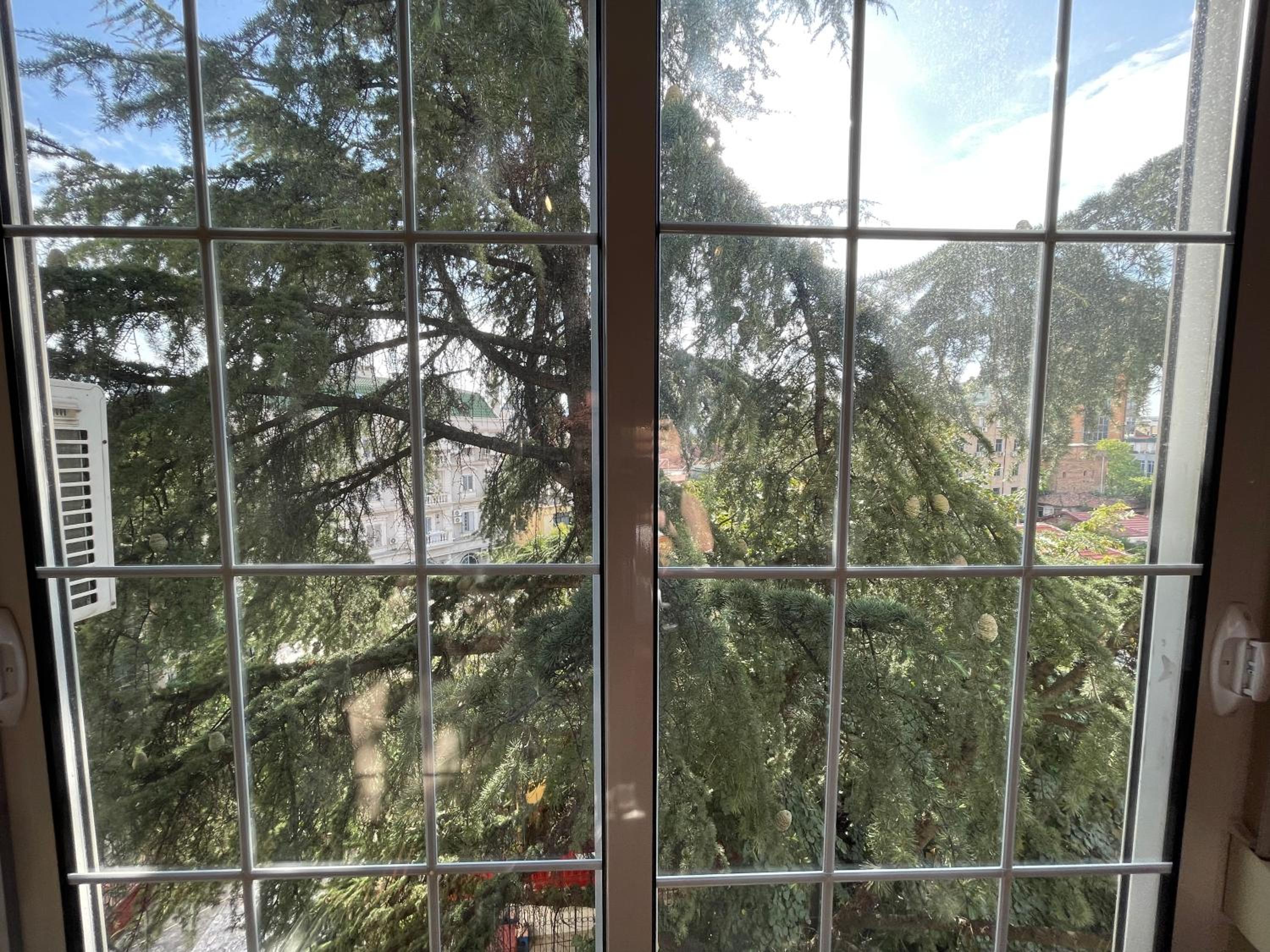 Pine-Tree Spacious 2 BDR Apartment near Tanners' Bridge with hot tub