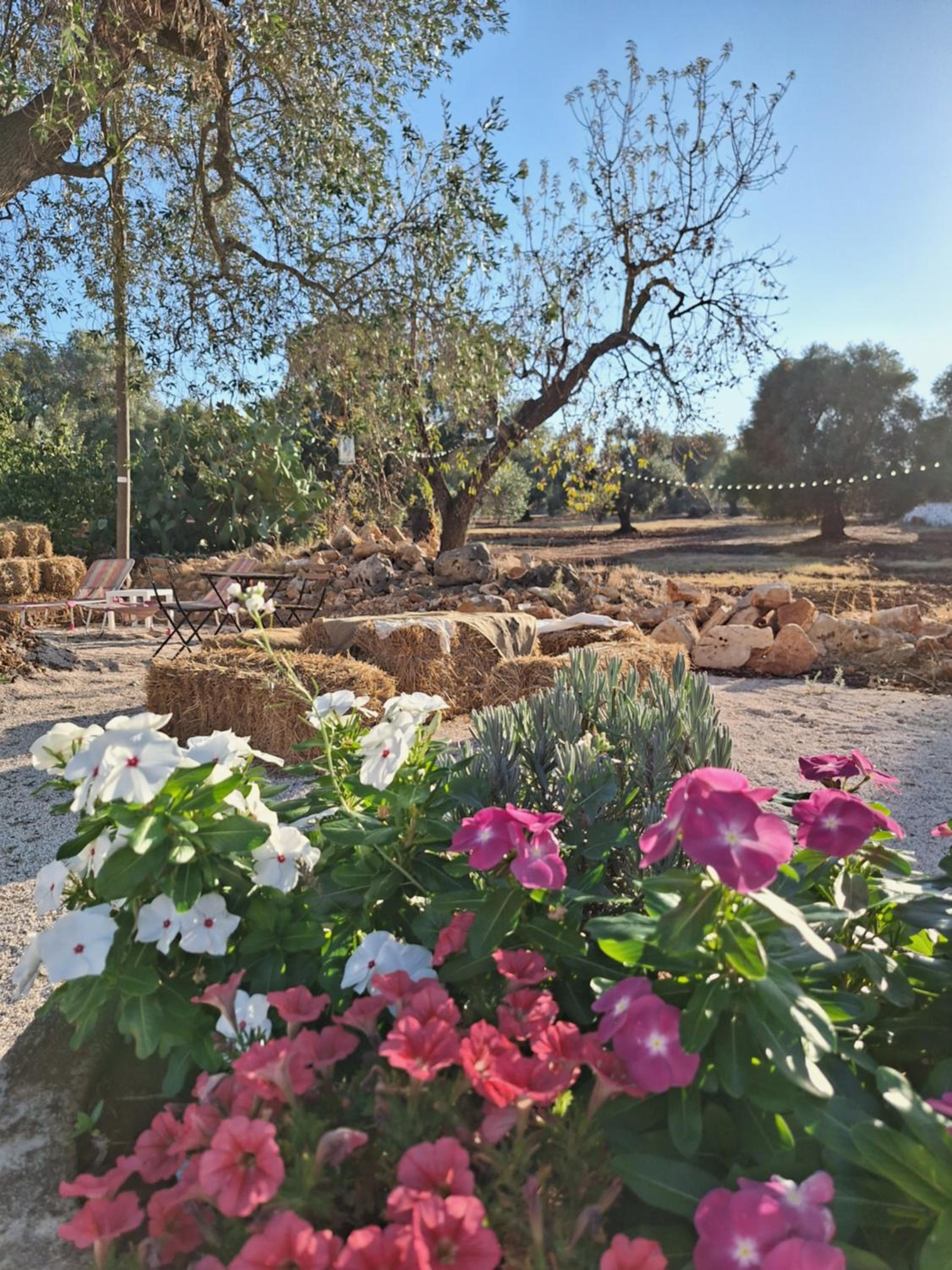 Residenza Anima Mediterranea