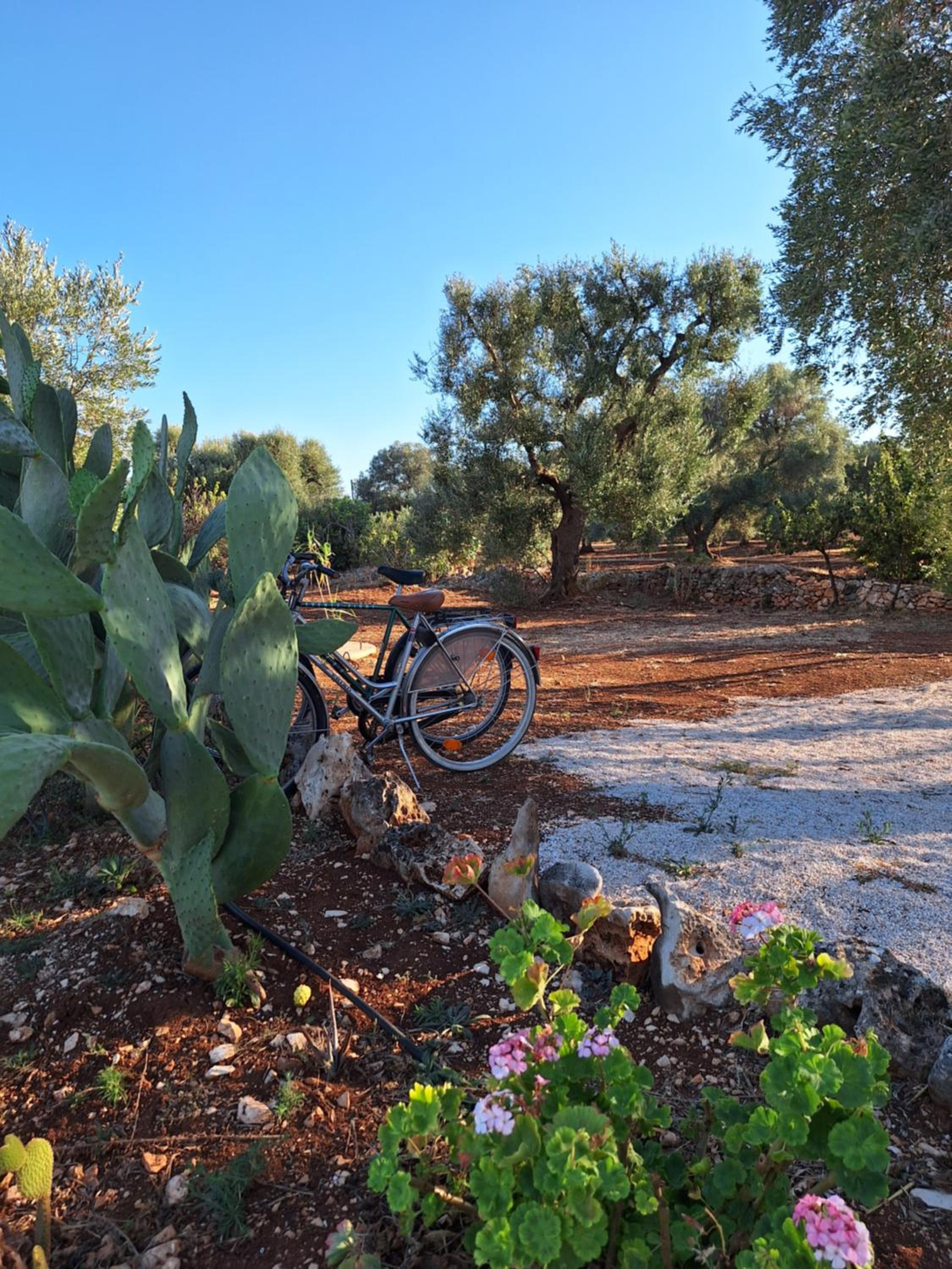 Residenza Anima Mediterranea