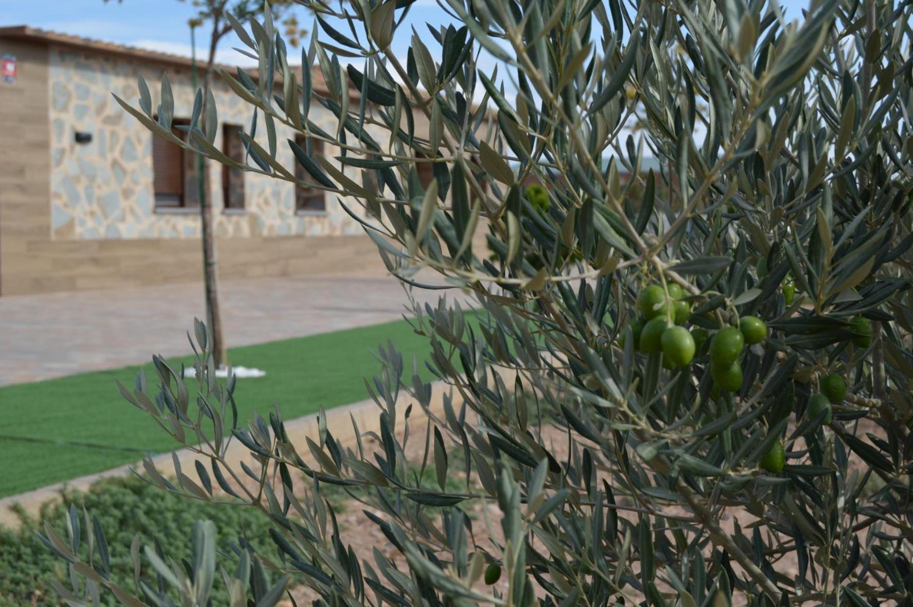 Casa Rural Finca Bella