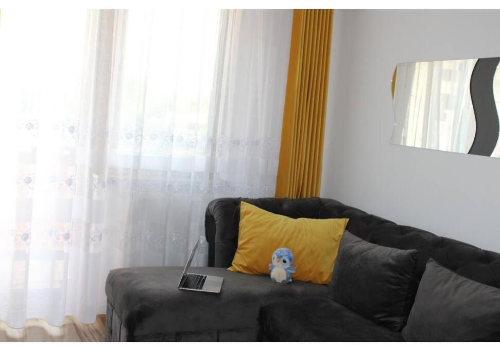 Visoianu Luxury 2 rooms AB House view 2
