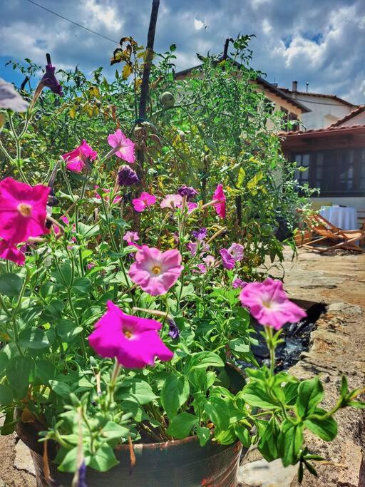 Panthea Cottage
