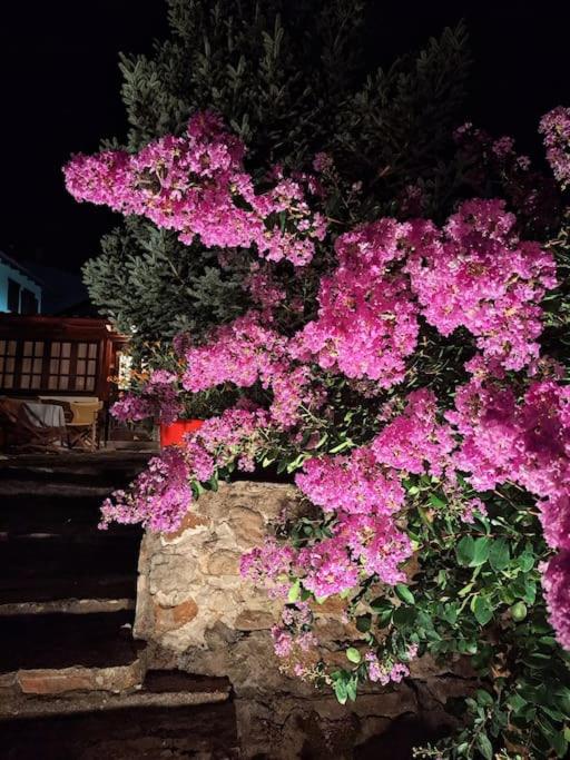 Panthea Cottage