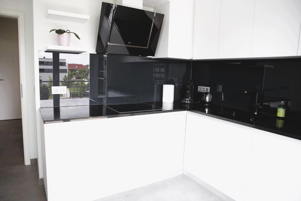 Charming modern 2 BR apartment view 2
