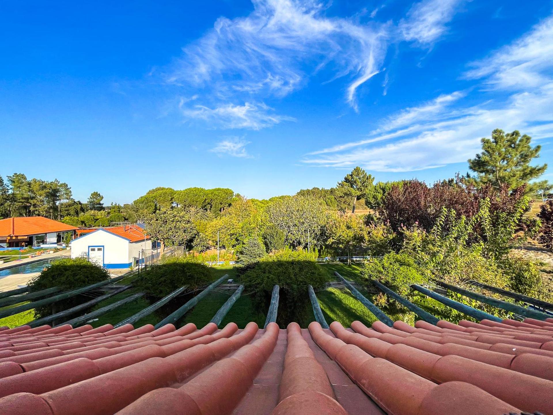 roof
