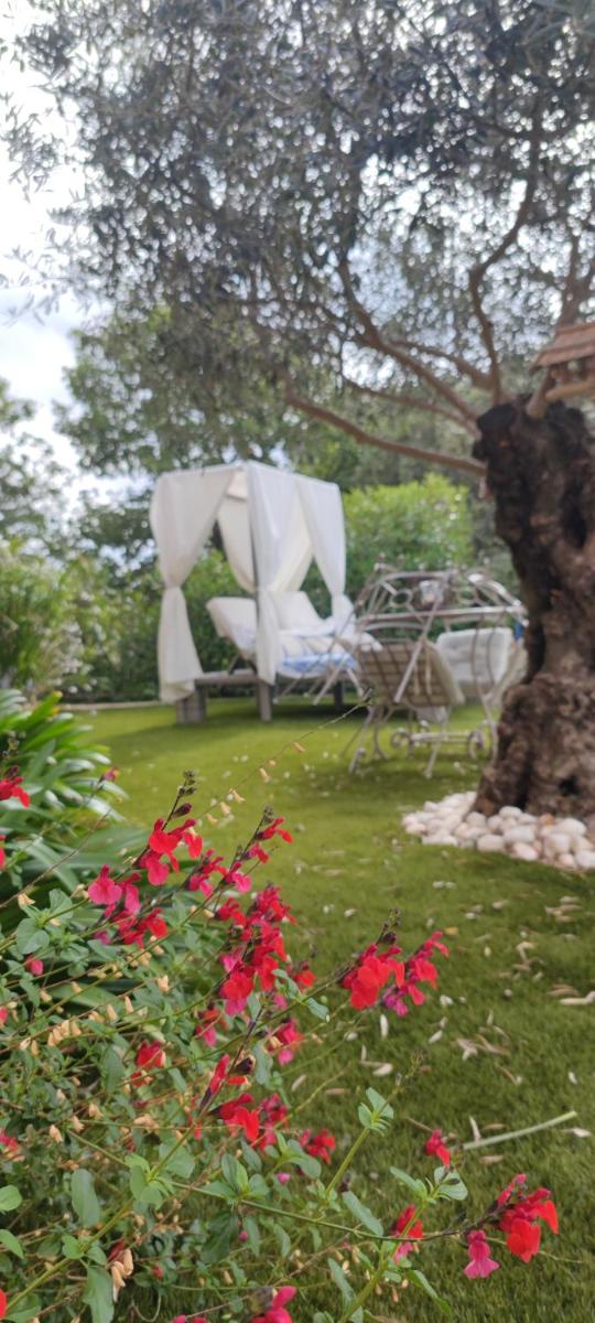 La Chabertine, photo 22