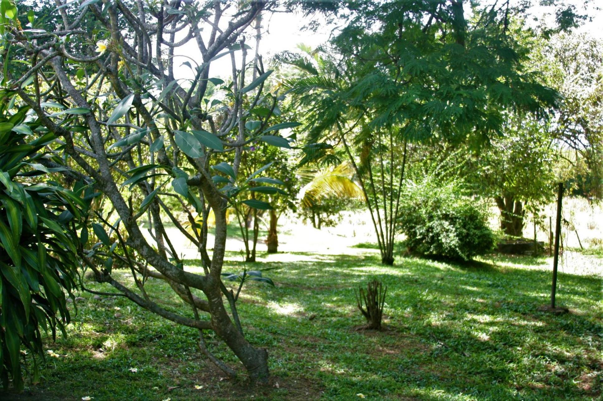 Habitacion Casa Campestre con piscina en Buga