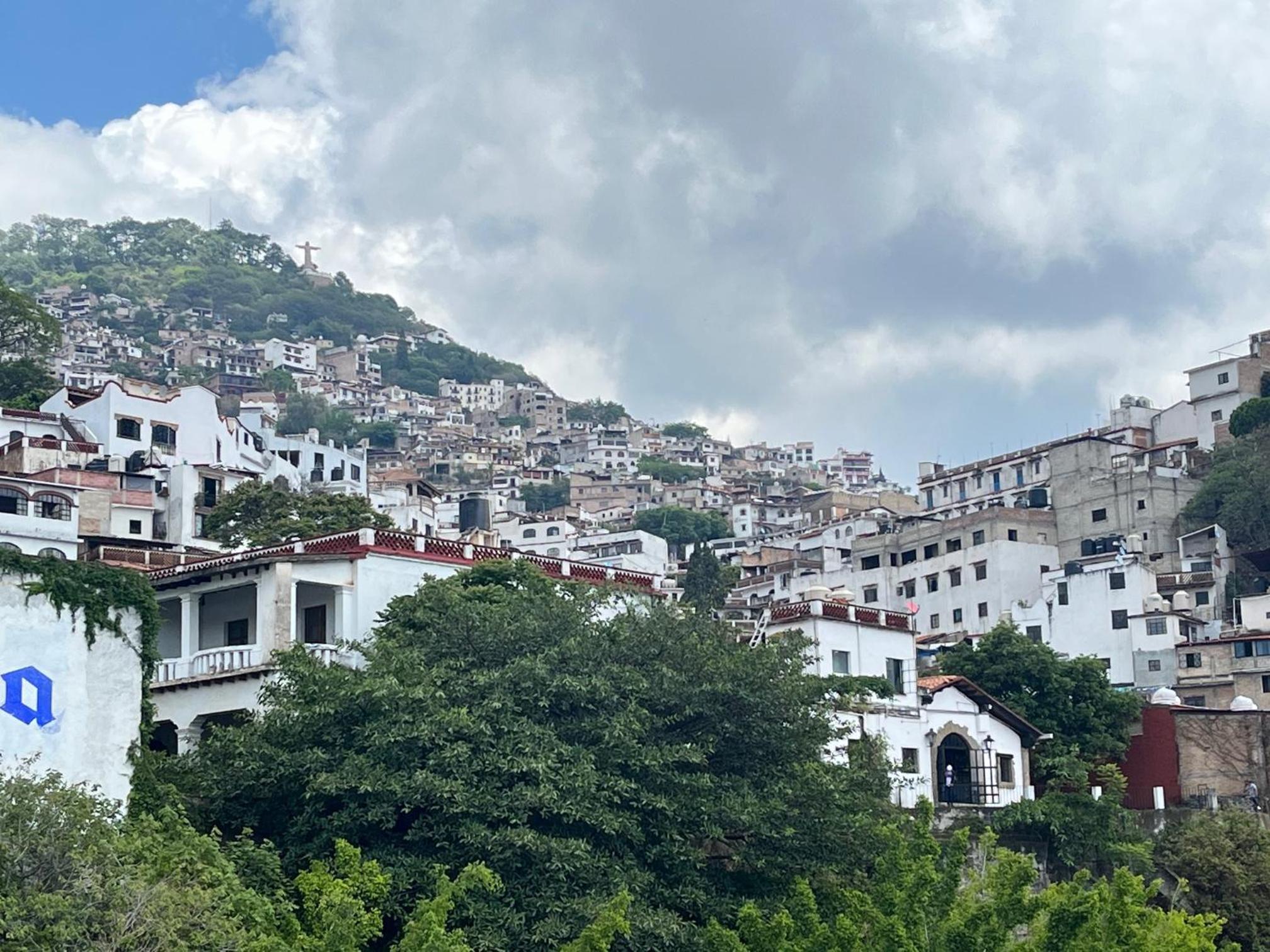 HOTEL BOUTIQUE ÁRBOL De LA VIDA - Image 1