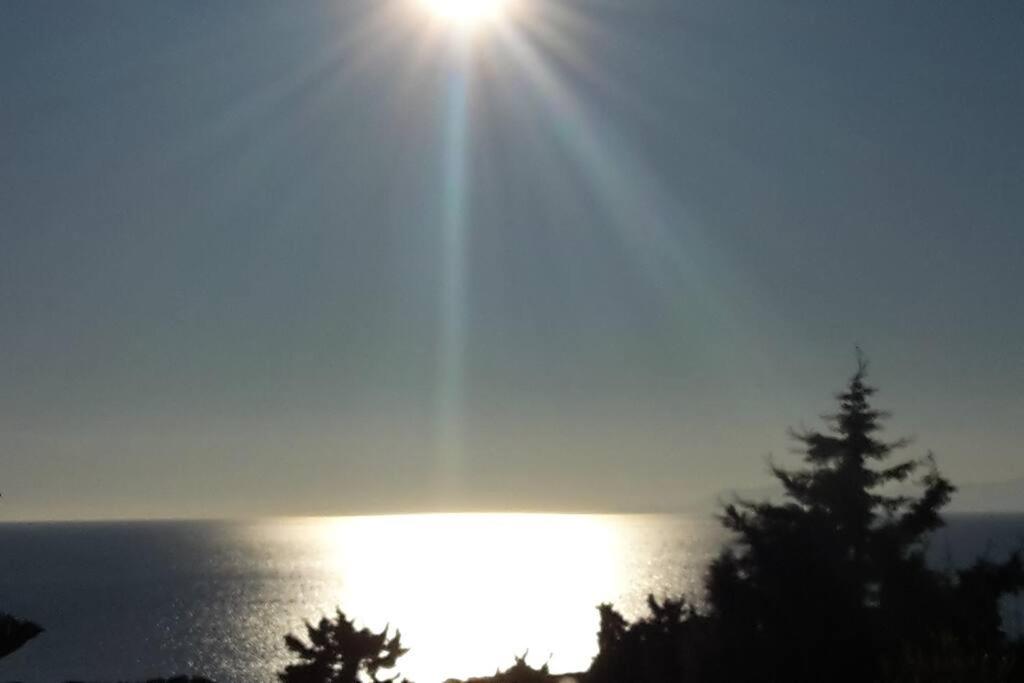 Appartamento Ginepro photo 5