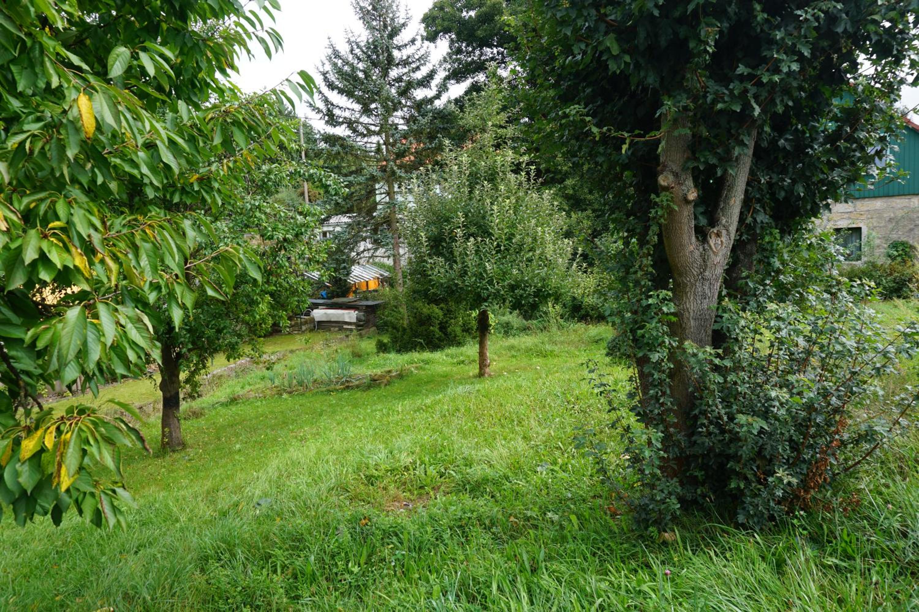 Ferienwohnung Ufer - Urlaub in der Sächsischen Schweiz