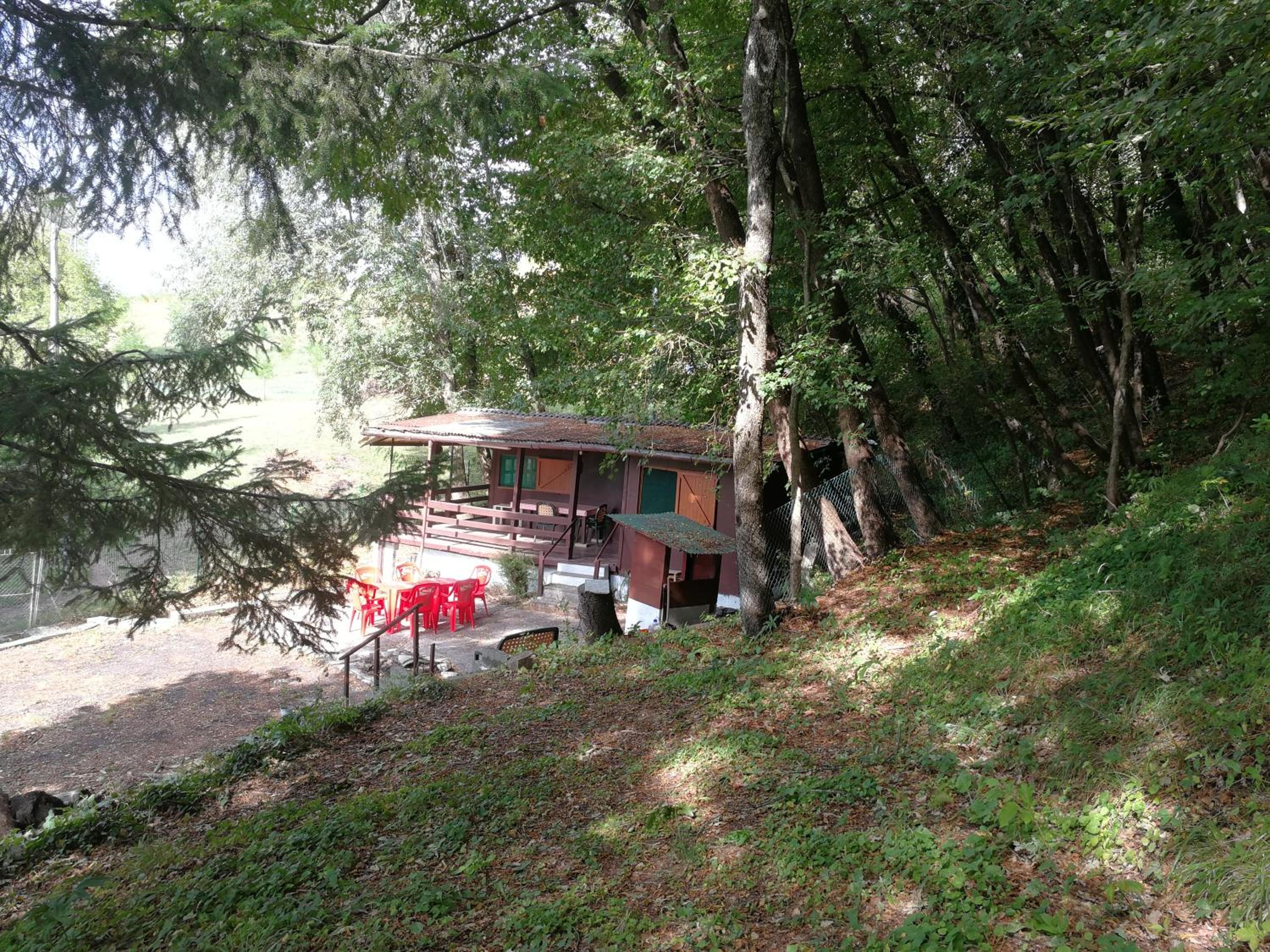 Photo 17