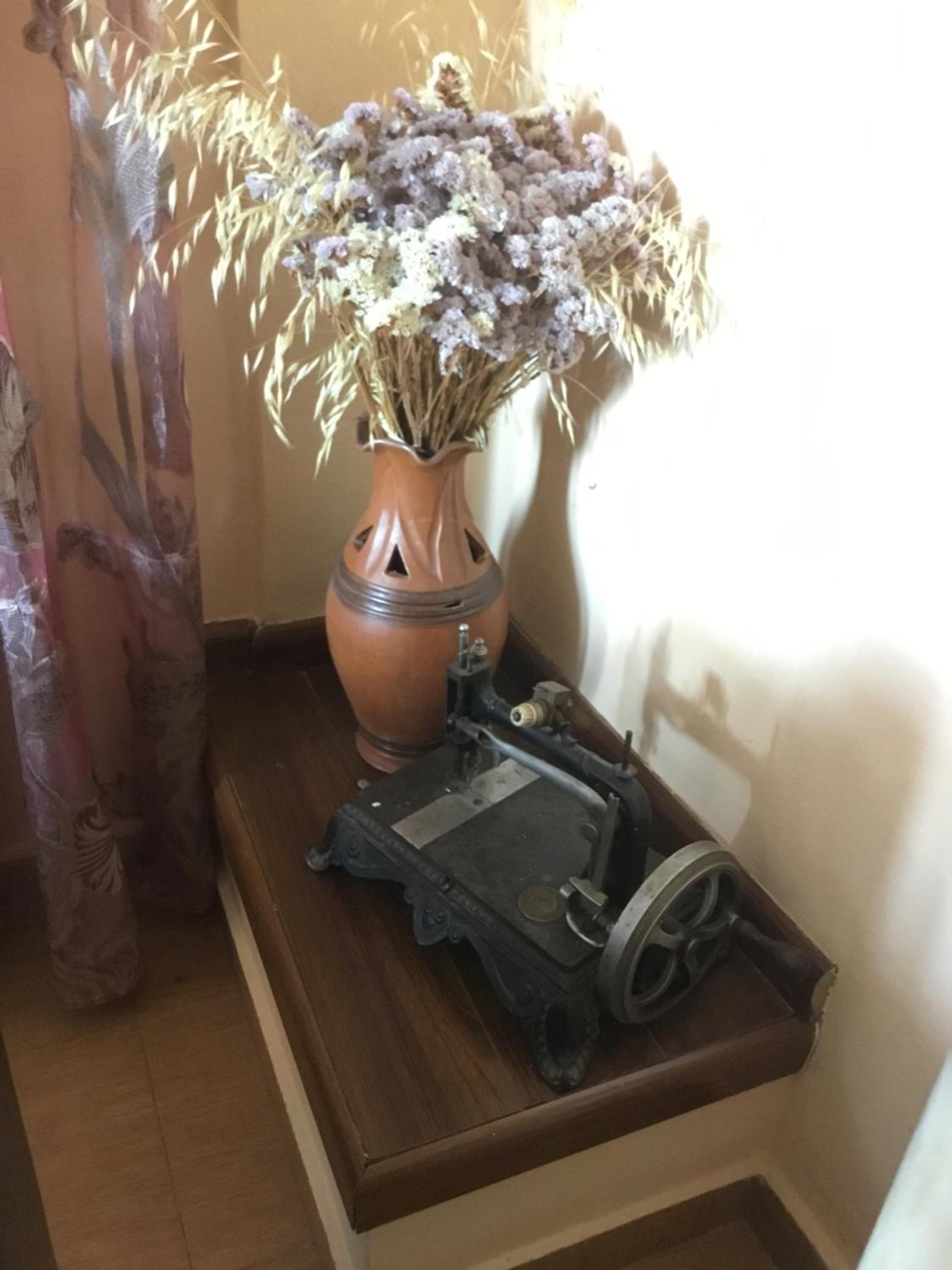 Vila Tradicionale Violeta Korce