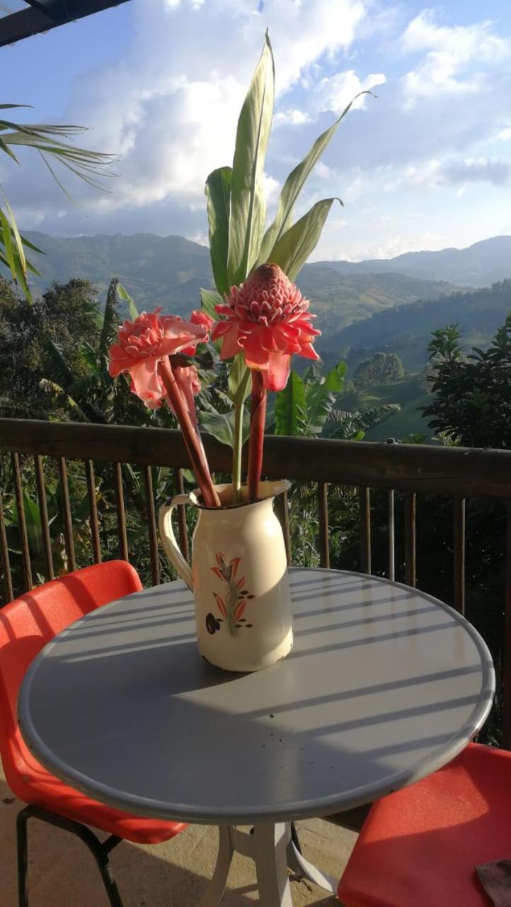 Hotel Villa Palosanto
