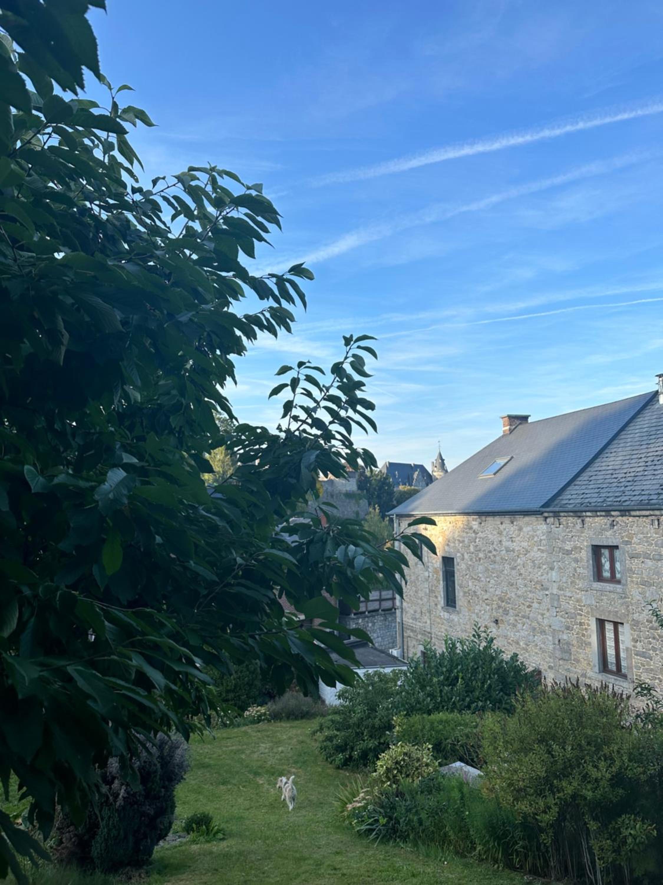 Maison Comtale