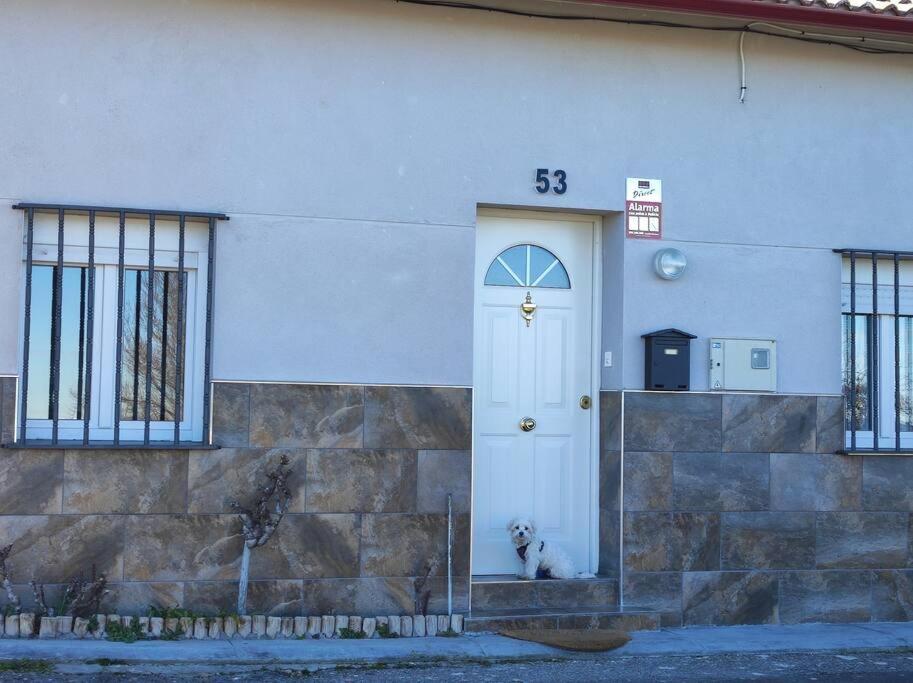 MiraLeón