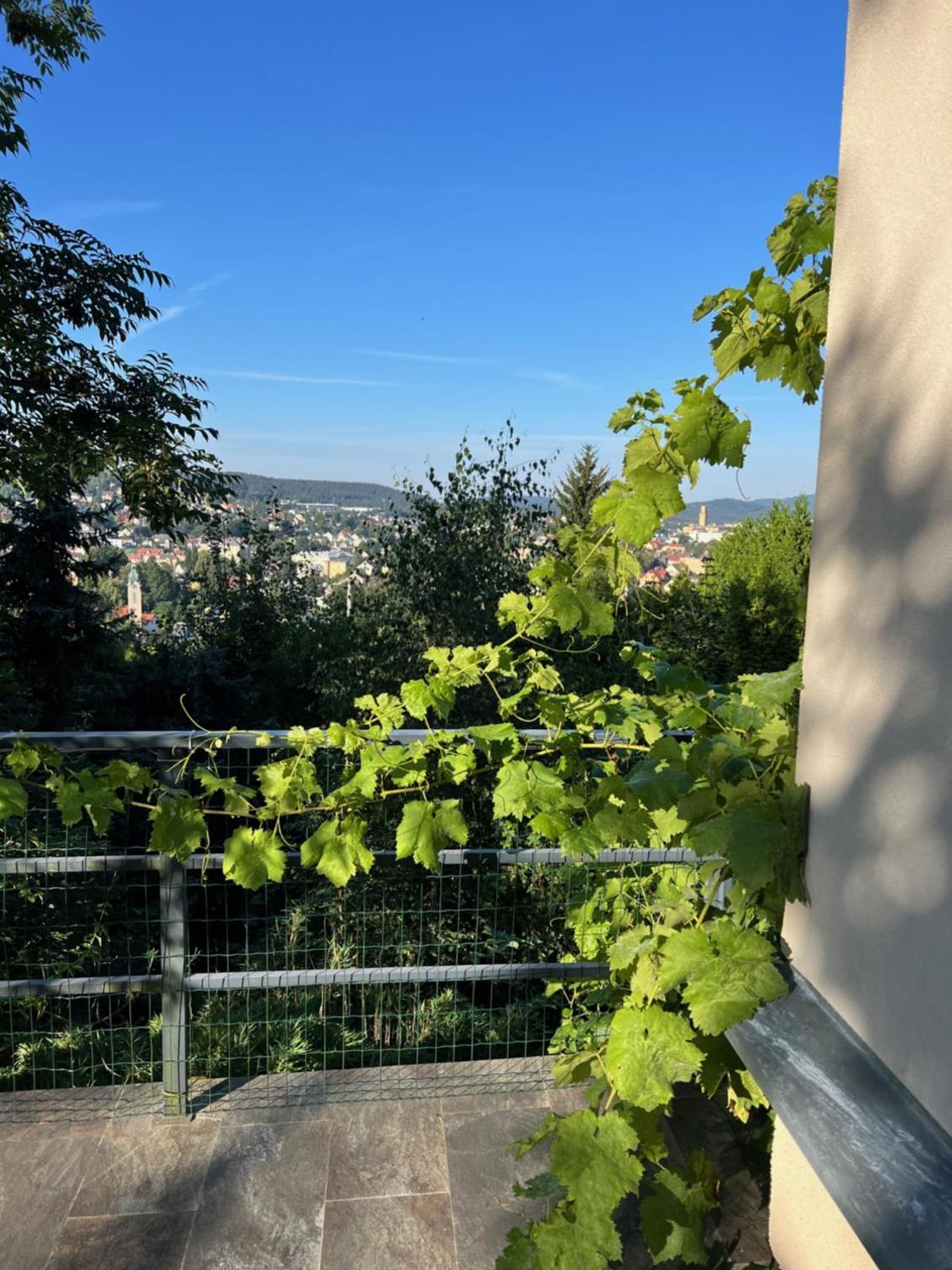 Vila Bellevue