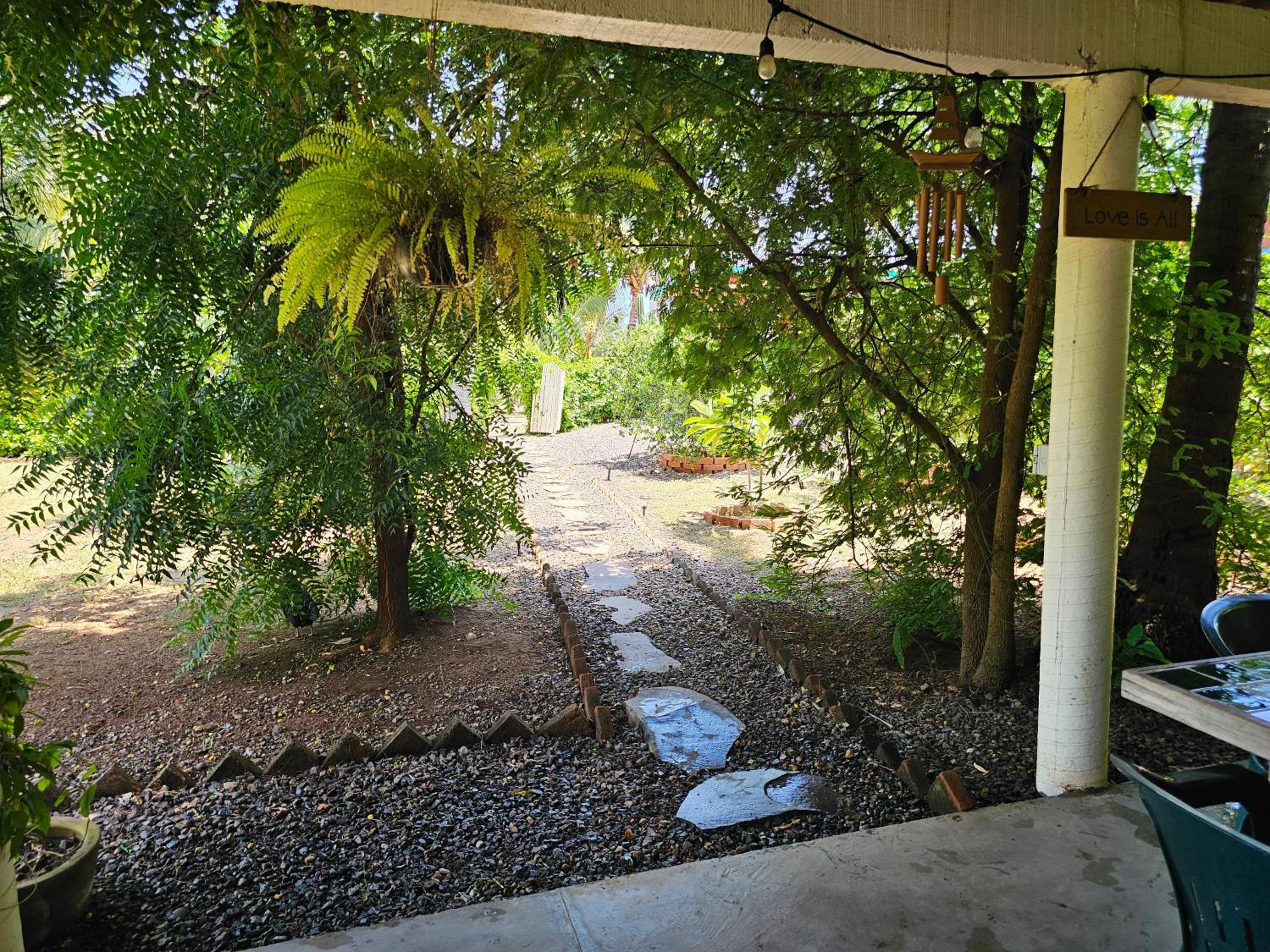 Photo 45