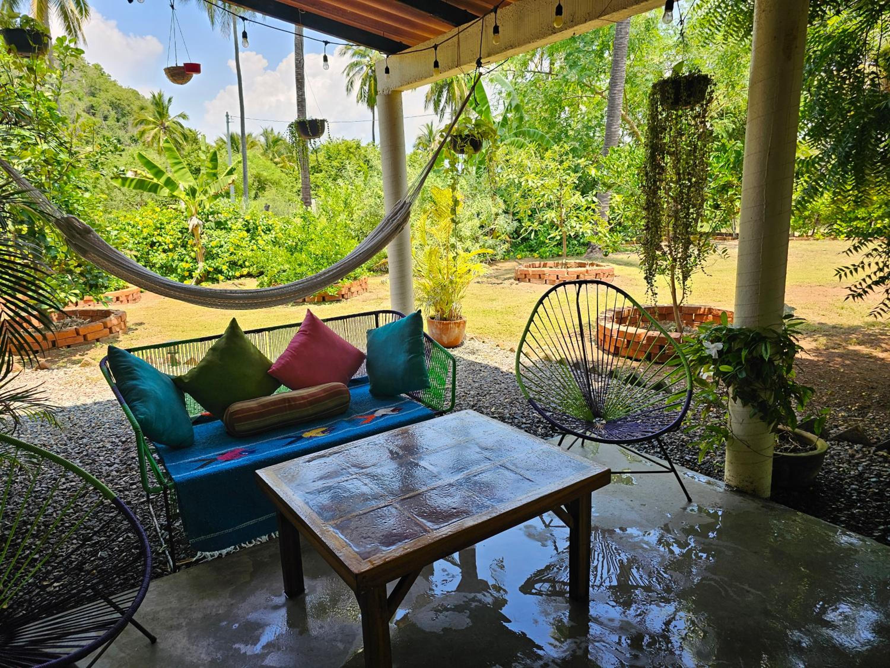 Eco hospedaje en jardín orgánico junto al mar view 5