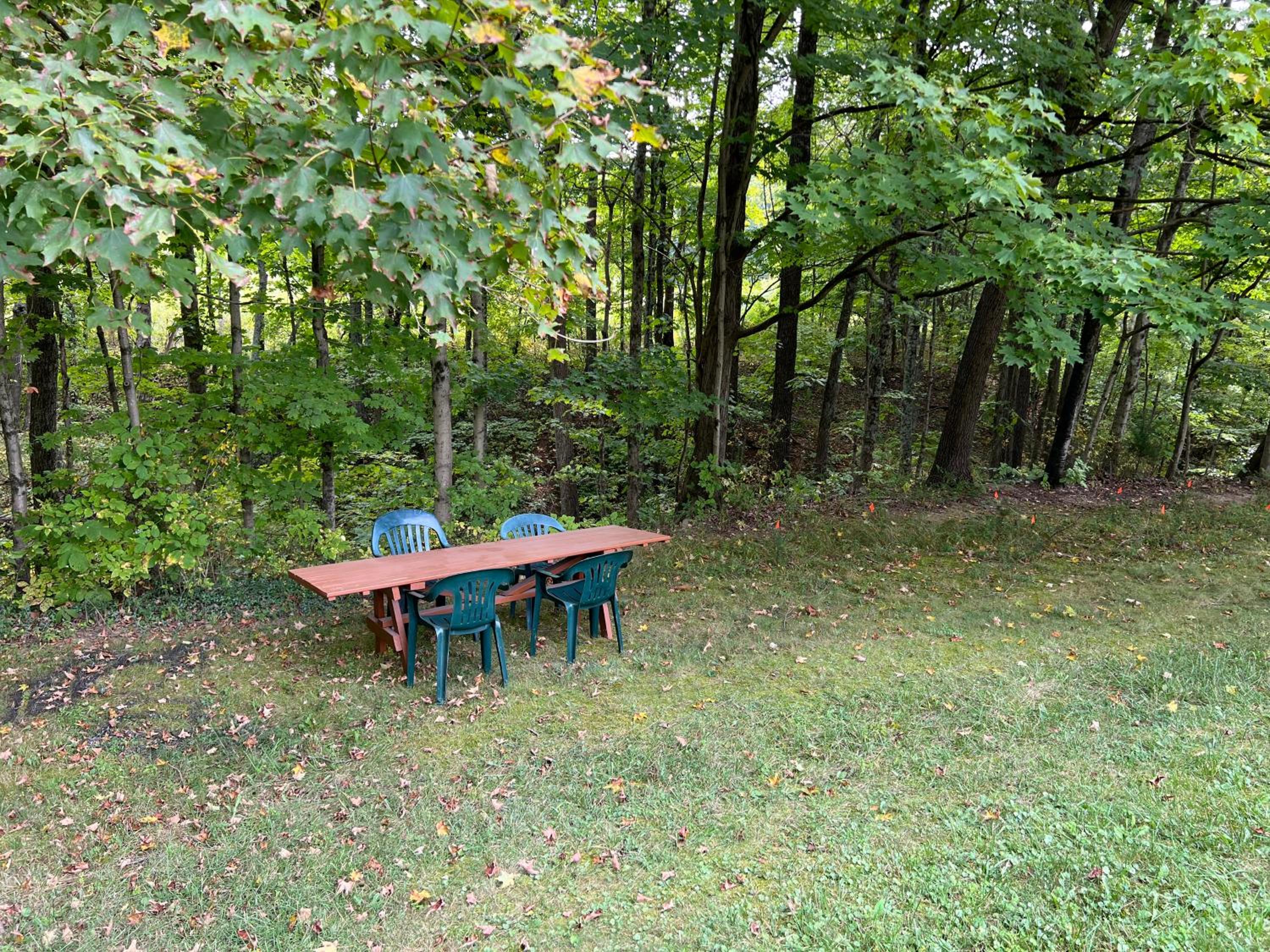 Athens and Albany's Hillside Haven - peaceful, private, pet friendly view 5