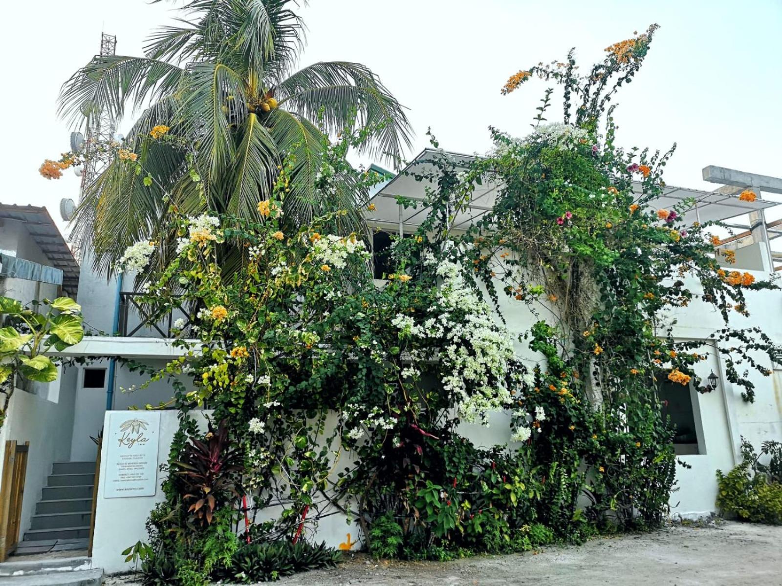 Keyla Inn