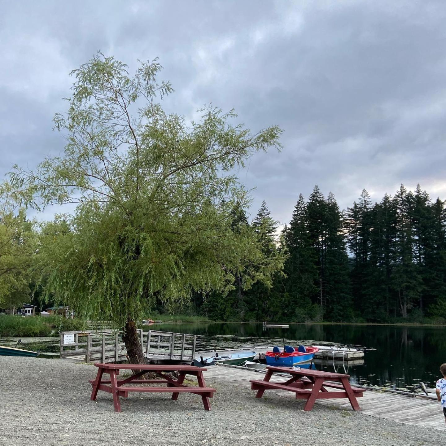 Beaver Lake Resort Site #36
