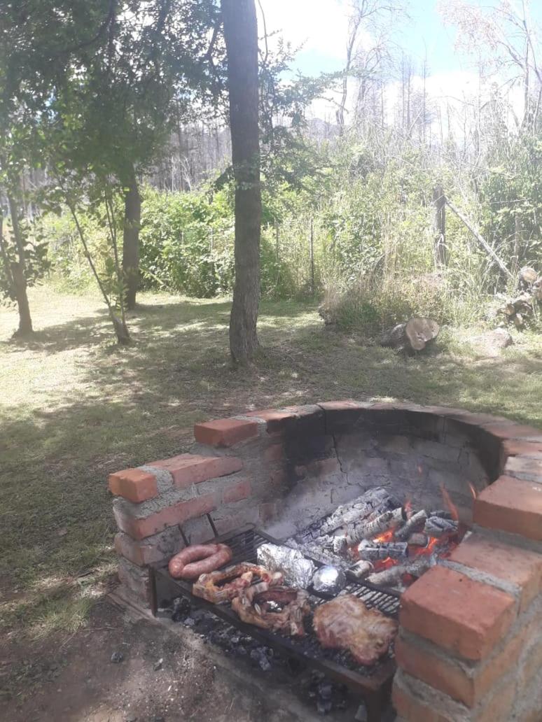 Casa Radal