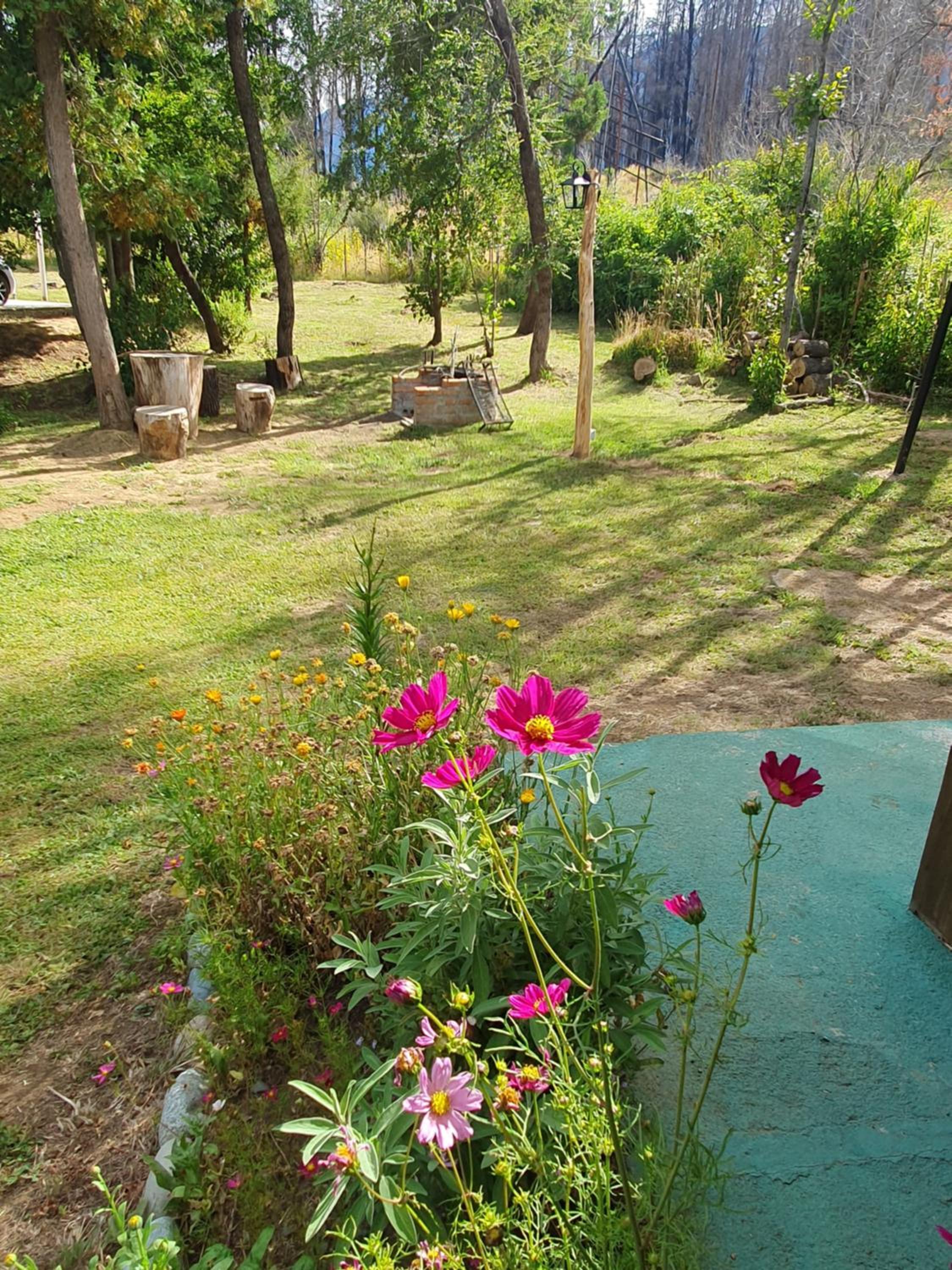 Casa Radal