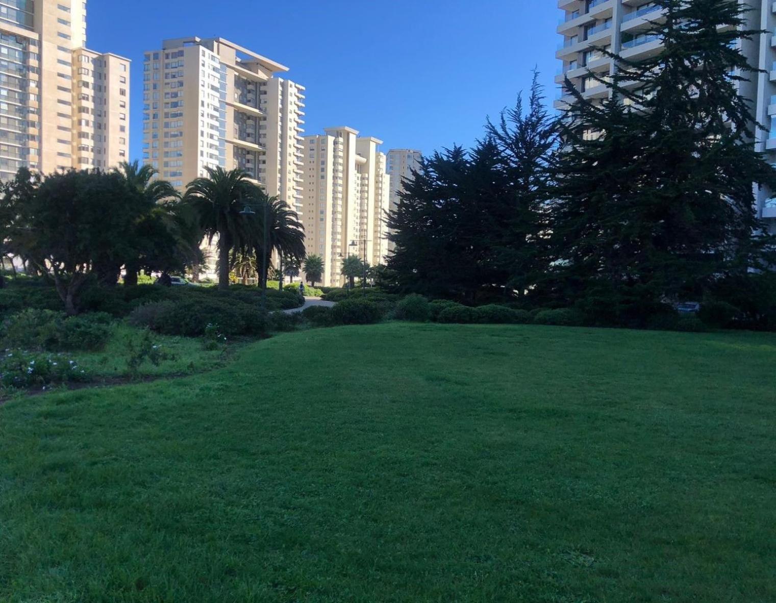 Depto en Costa de Montemar 1