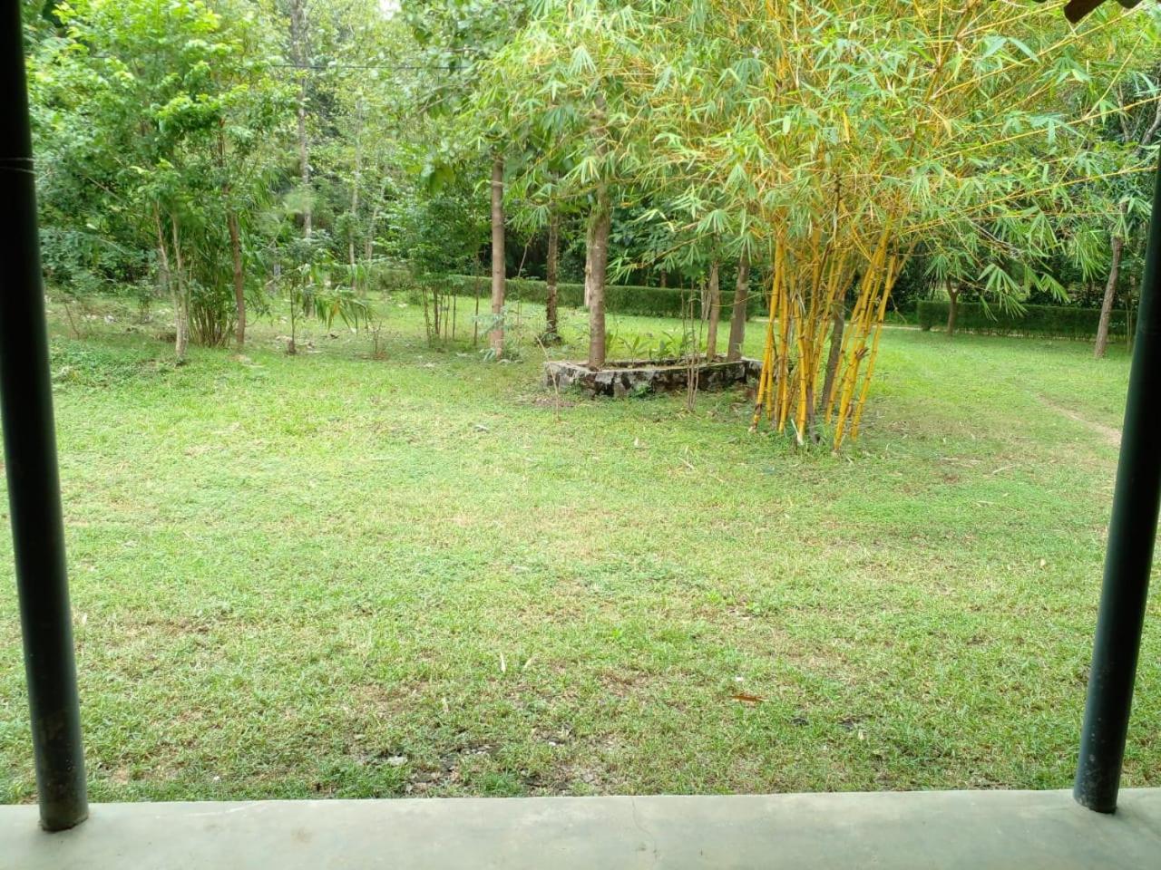 Photo 26