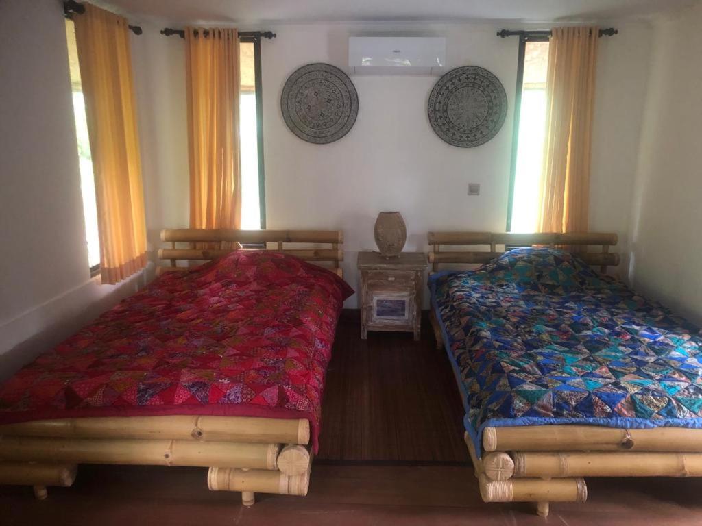 Nice house, quiet place overlooking rice fields view 4