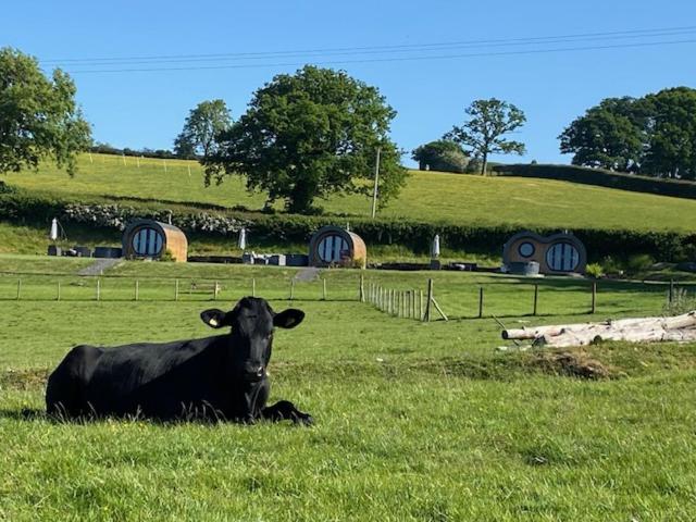 Great House Farm Luxury Pods and Self Catering view 3