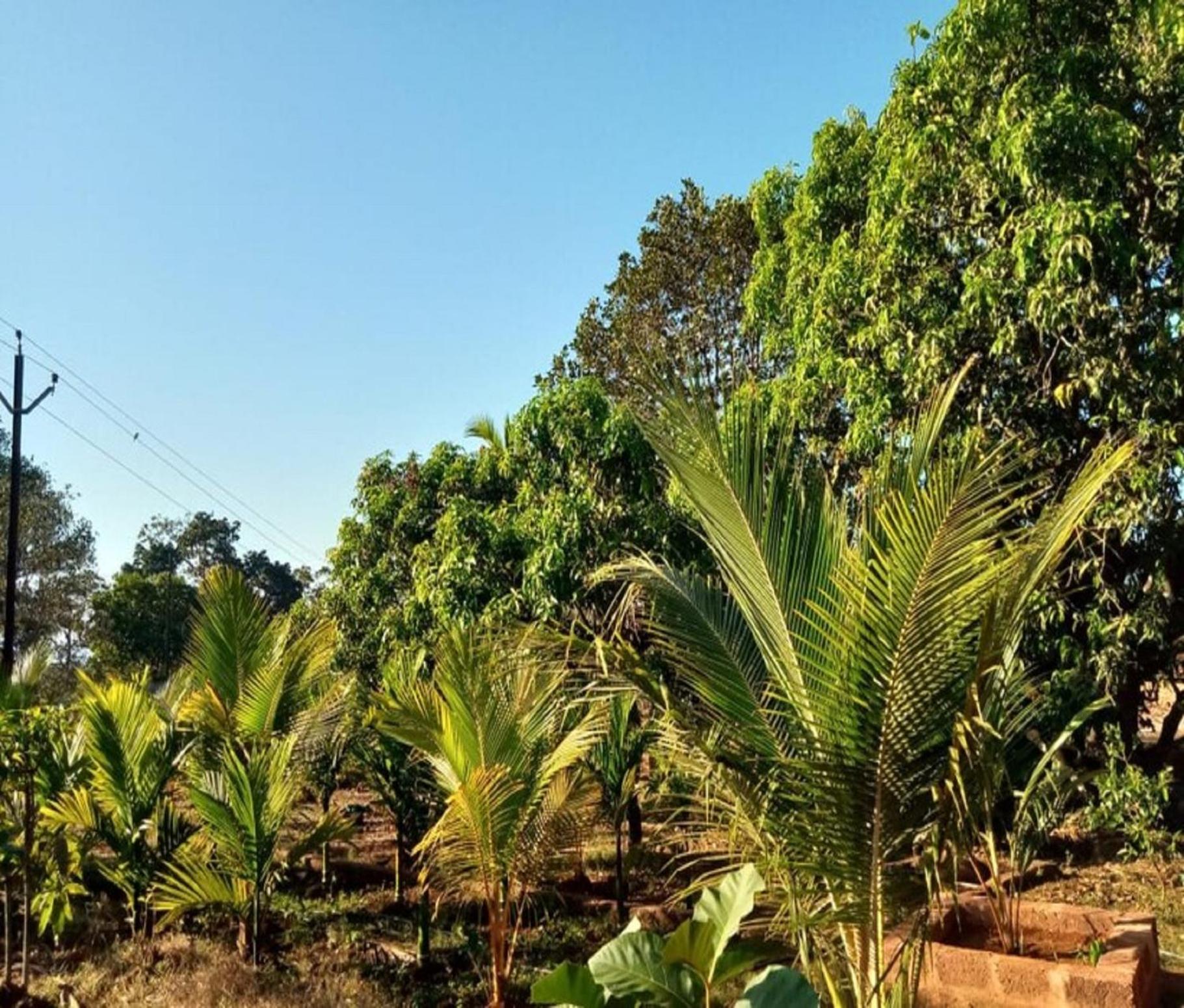 Whistling farms Home Stay view 3