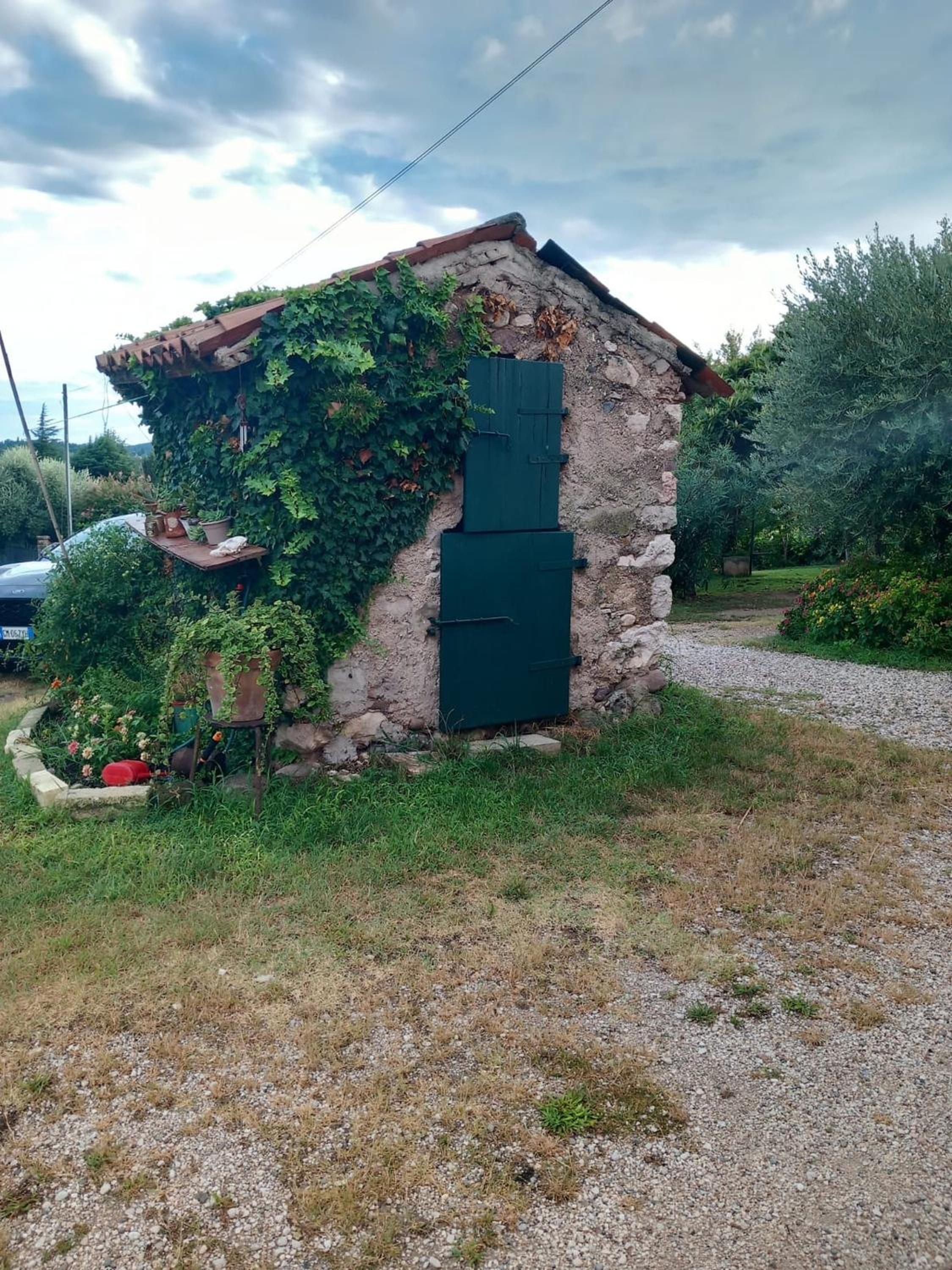 Photo 8