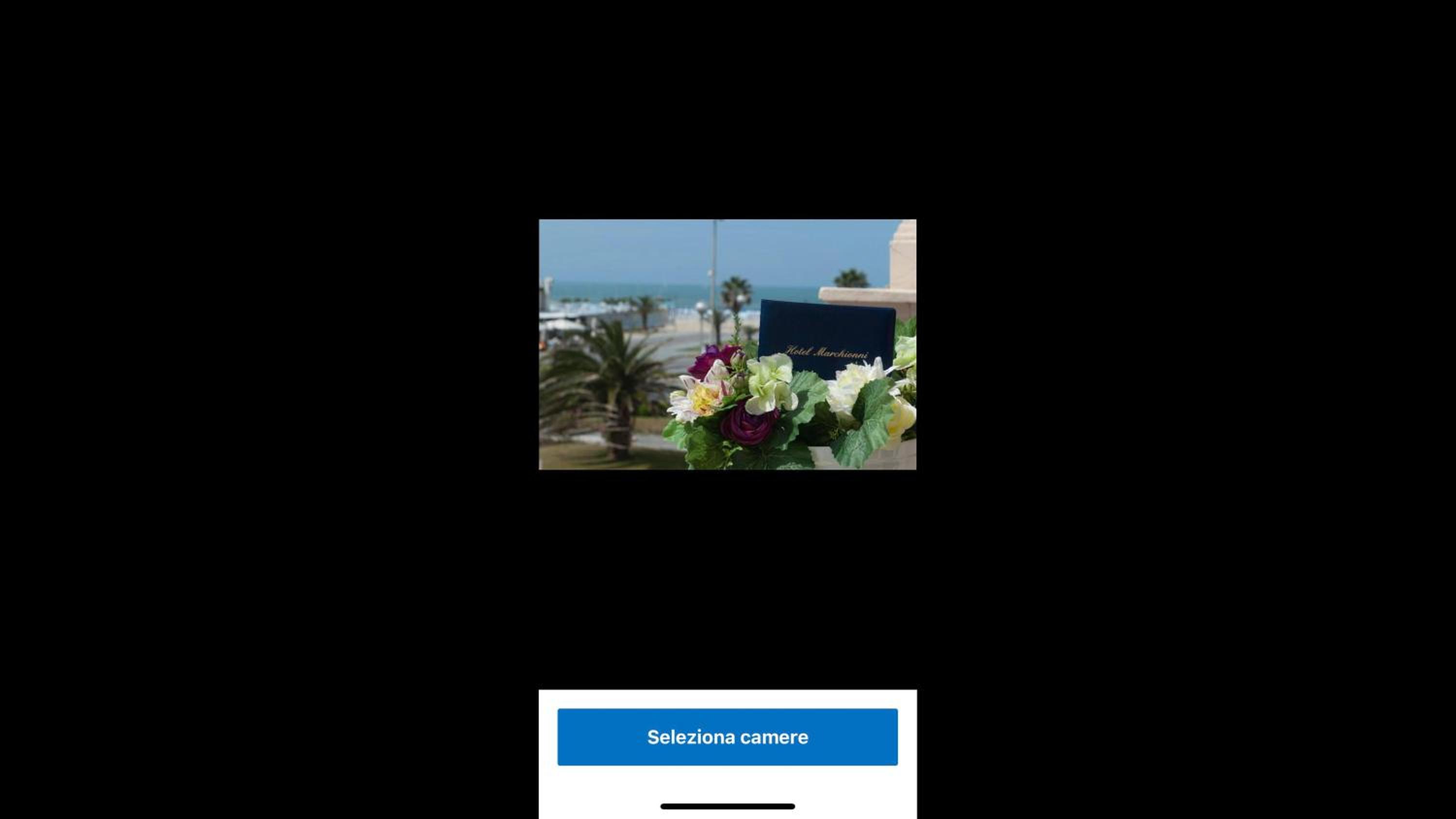 Viareggio live in Top deco view 5