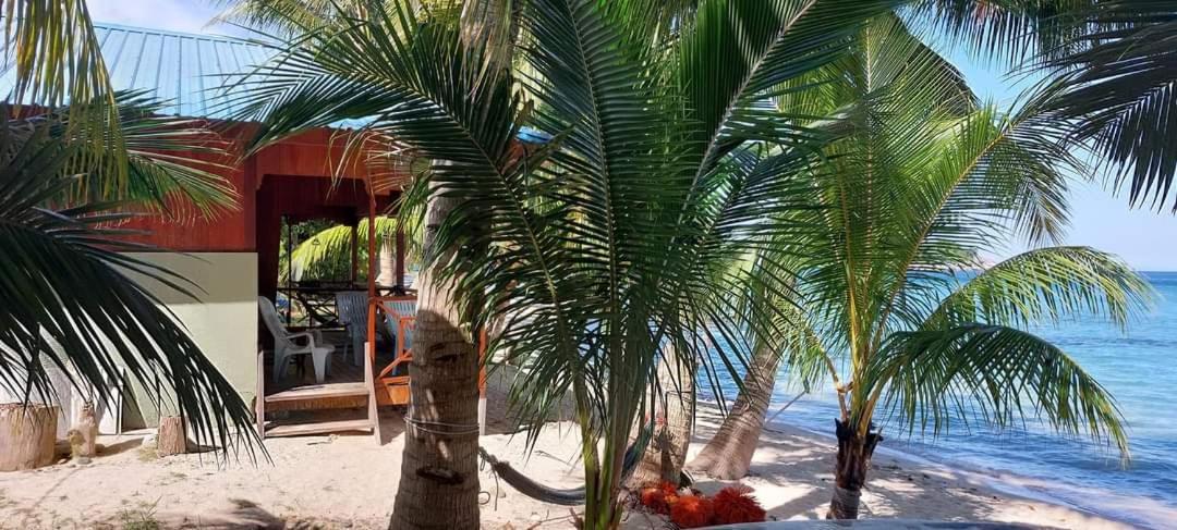 Ella's Place Salang Tioman