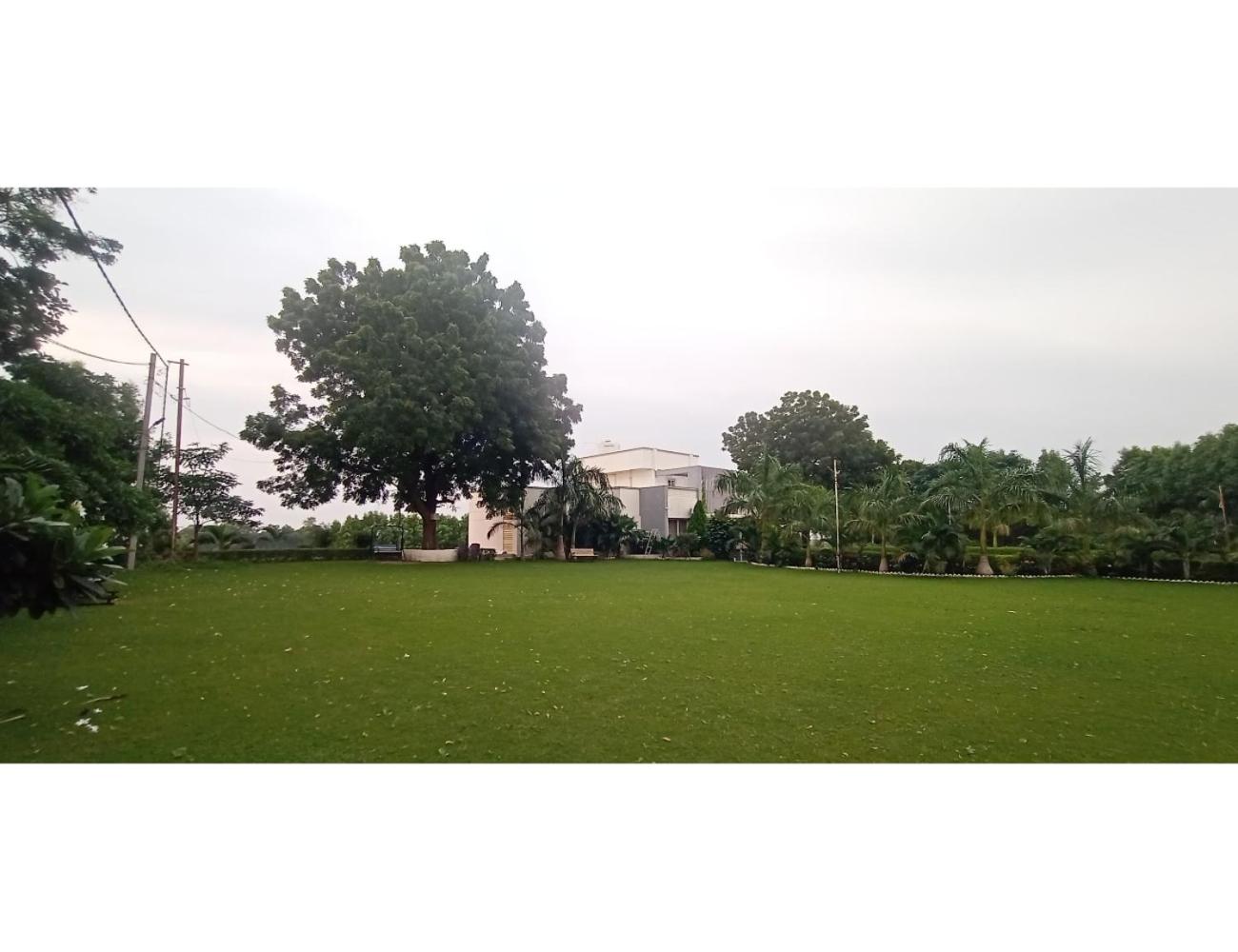 Hotel Hill View, Vadatalav, Gujarat view 3