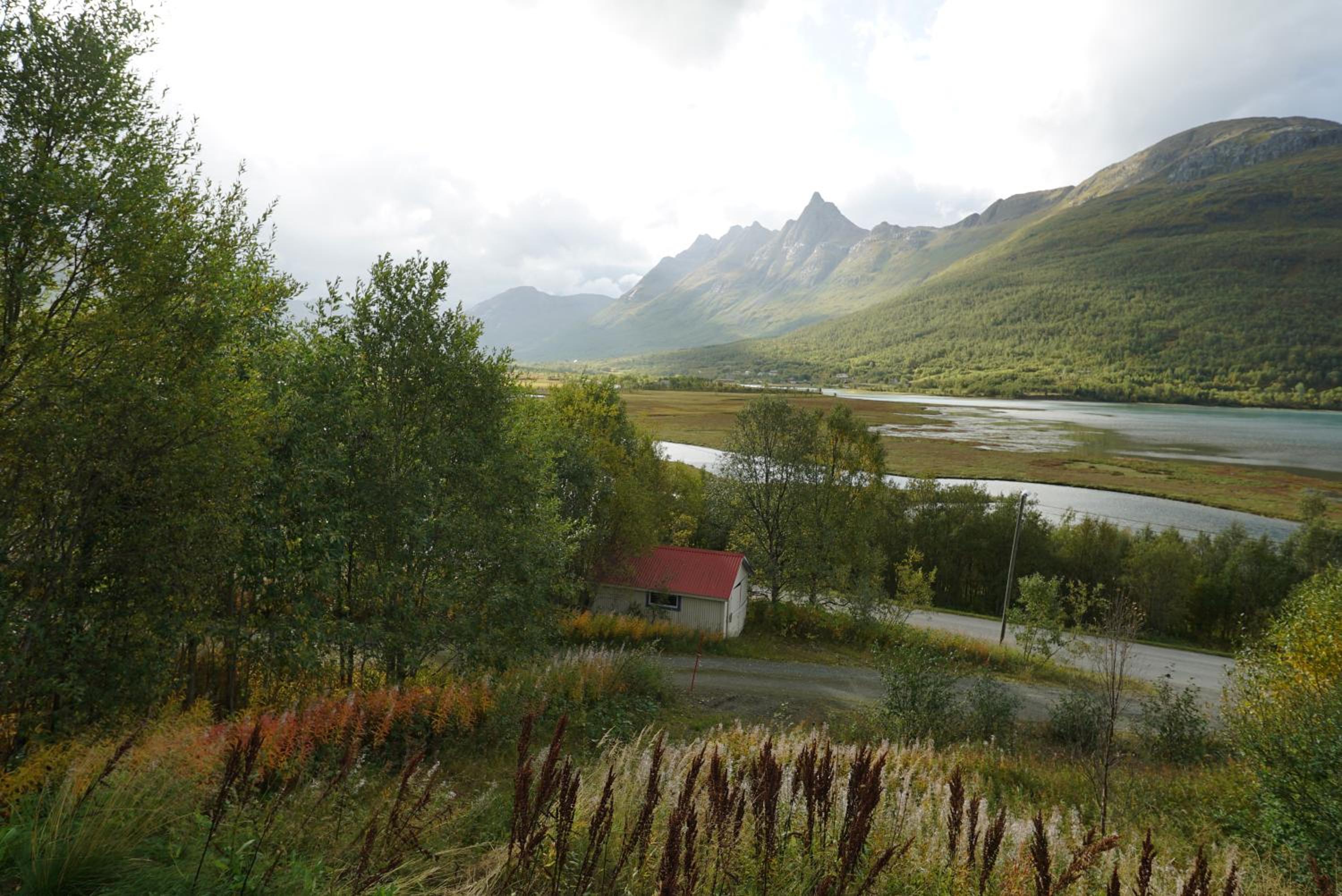 Photo 43