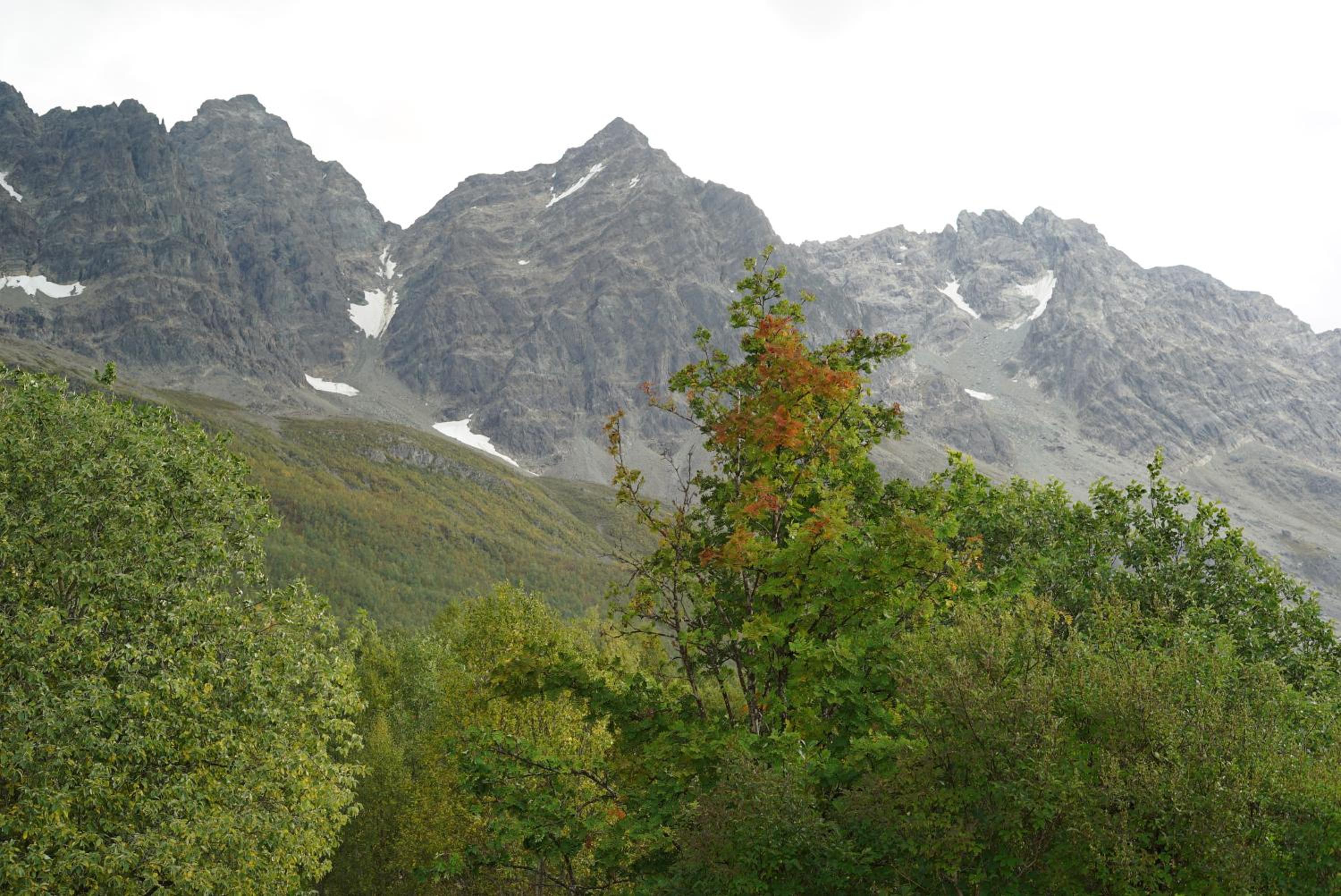 Photo 45