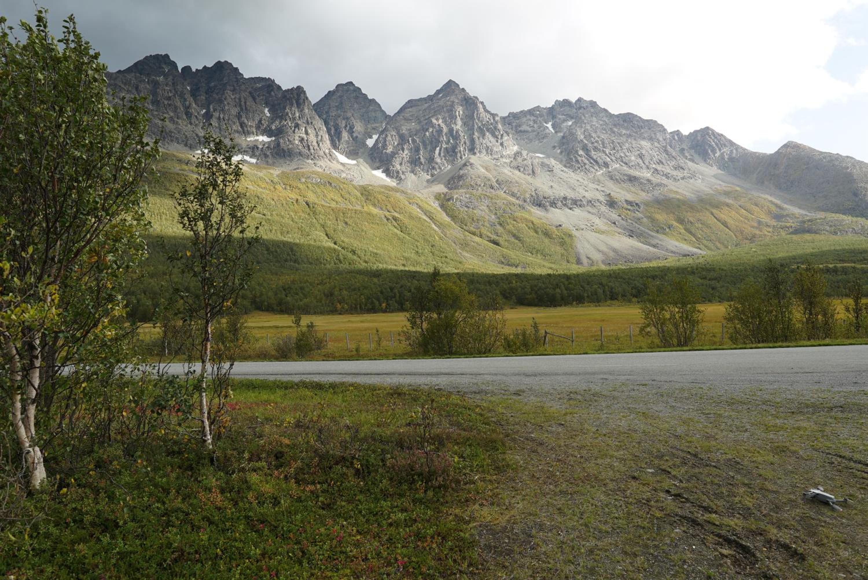 Photo 46
