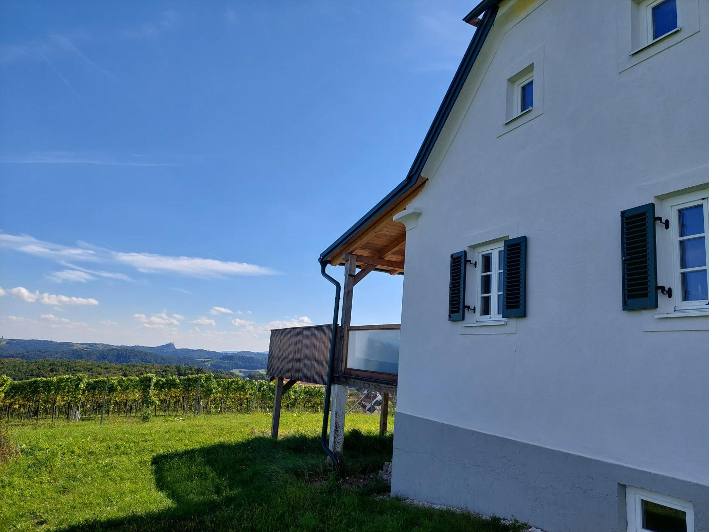 Baronigg Weingartengut