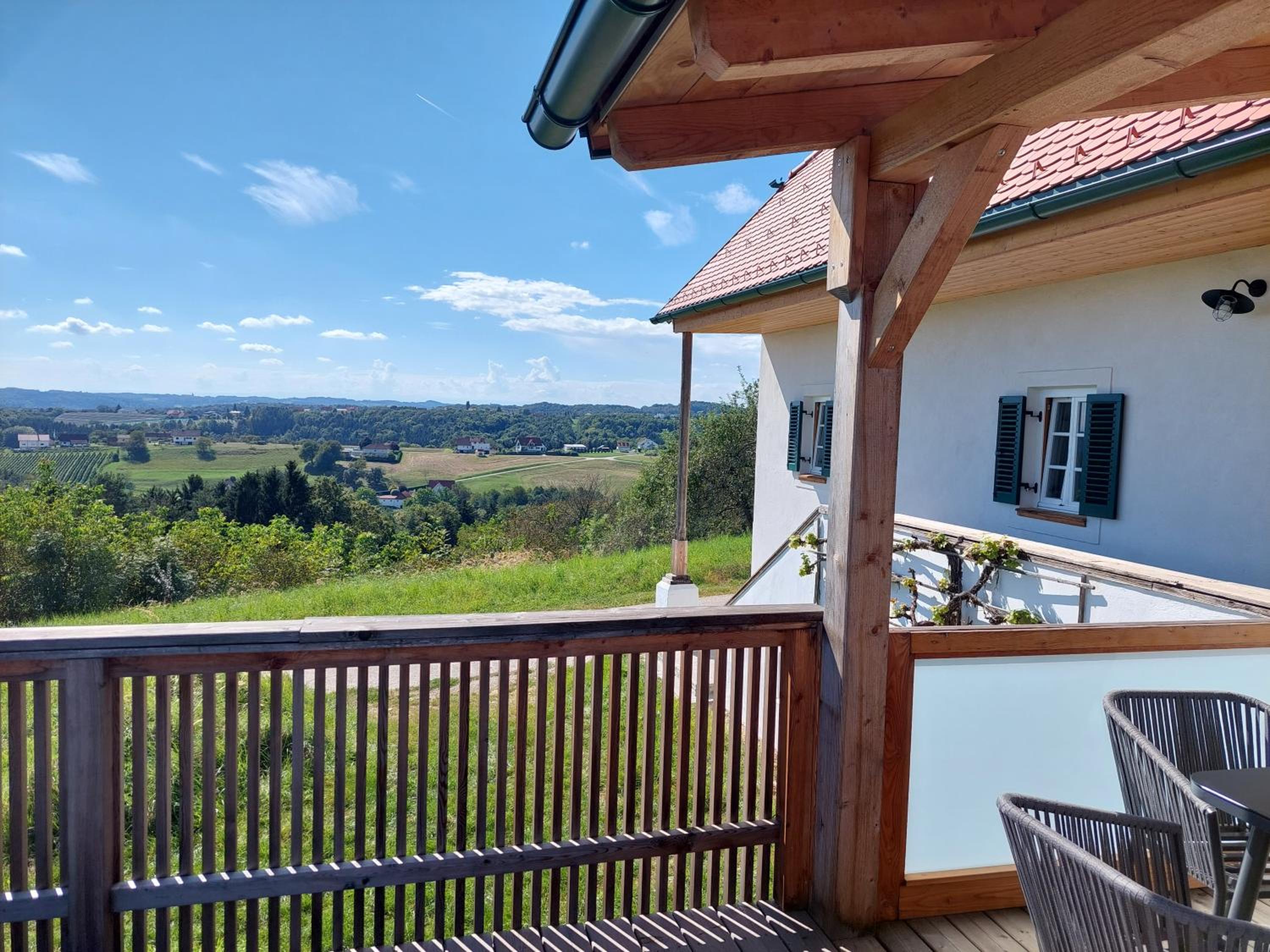 Baronigg Weingartengut